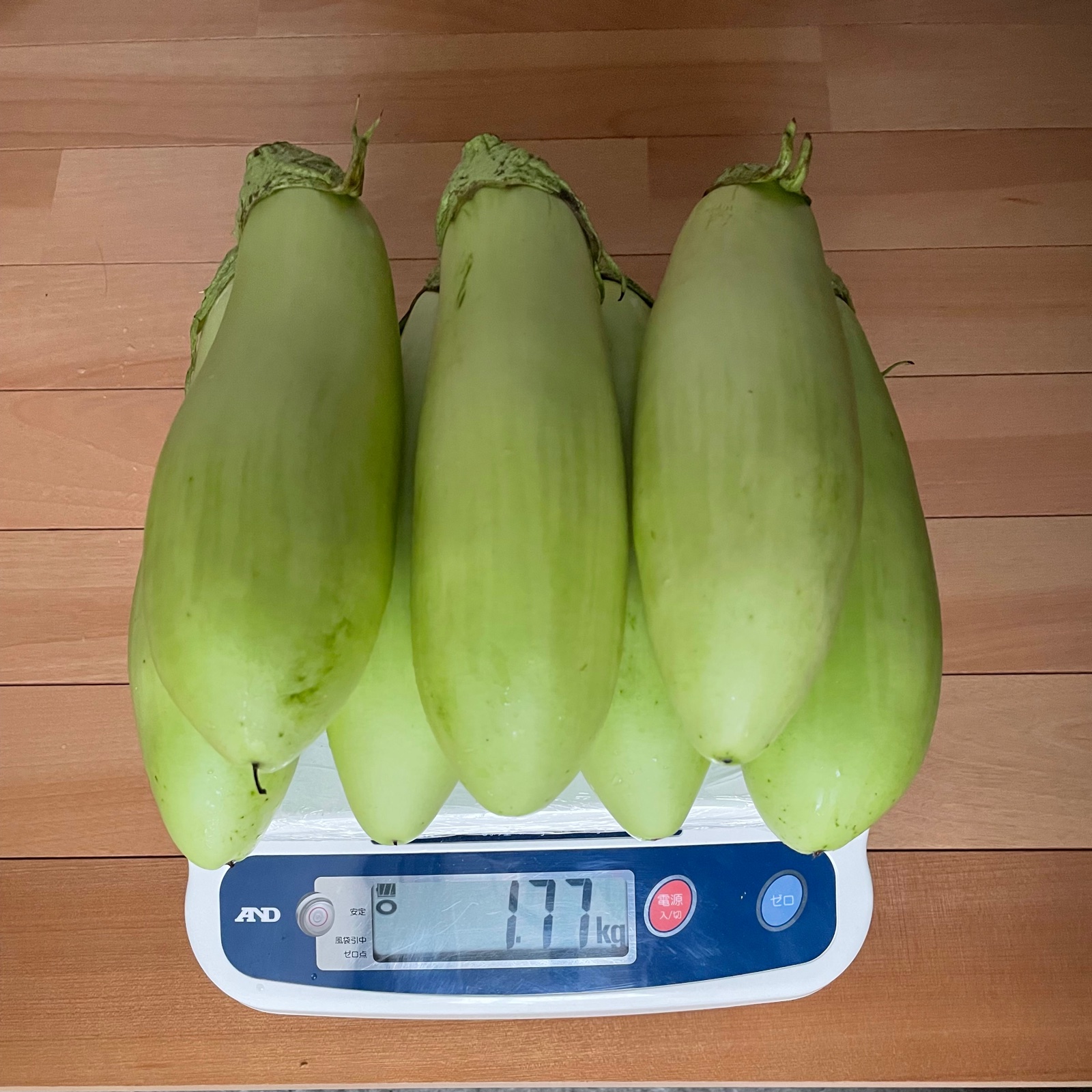トロトロ食感！ 青茄子 農薬不使用 化学肥料不使用 箱込み2kg ｜ 野菜