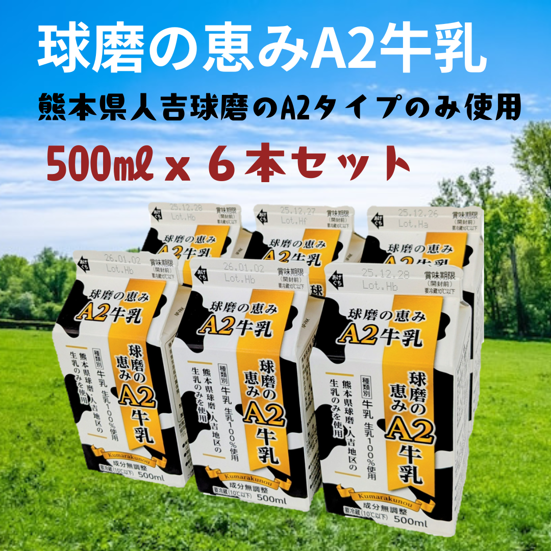 牛乳様確認用 球磨の恵みA2牛乳 500mlx6パック | 乳製品/牛乳 産直アウル 農家