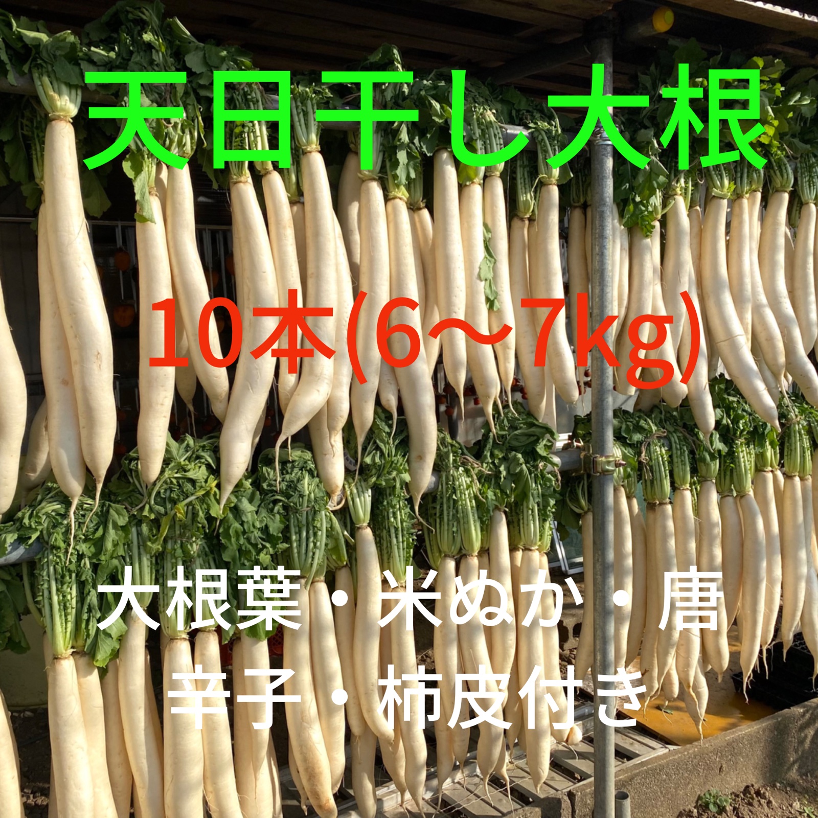 大澤農園の天日干し大根(練馬大根) ｜ 野菜/野菜の加工品 産直アウル