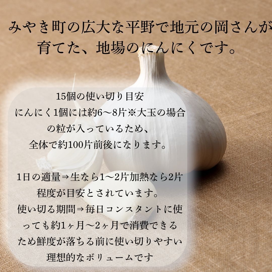 佐賀県みやき町岡さんちのニンニク（にんにく）15個 ｜ 野菜/にんにく