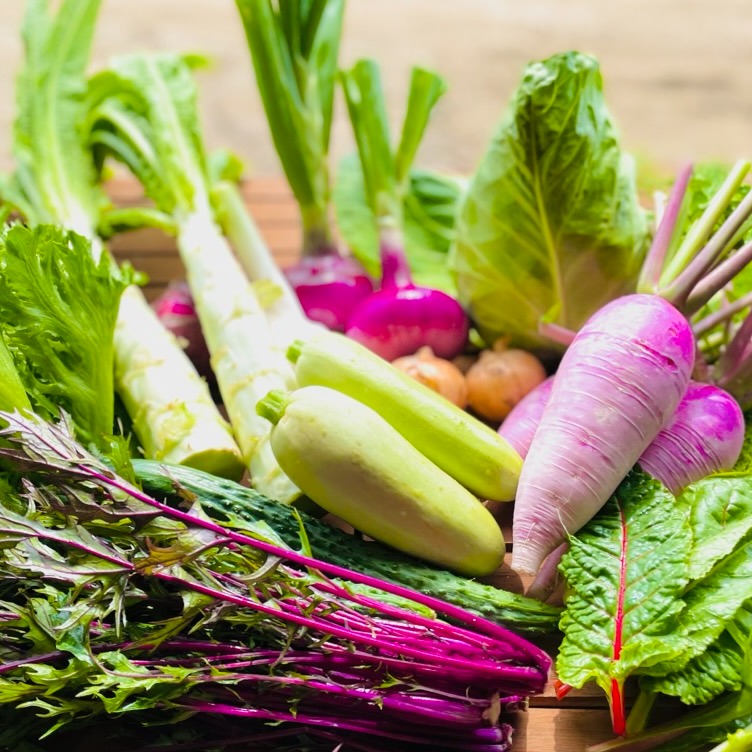 カラフル・レア野菜で元気に！ 『Lサイズ☆カラダ喜ぶ夏野菜セット10