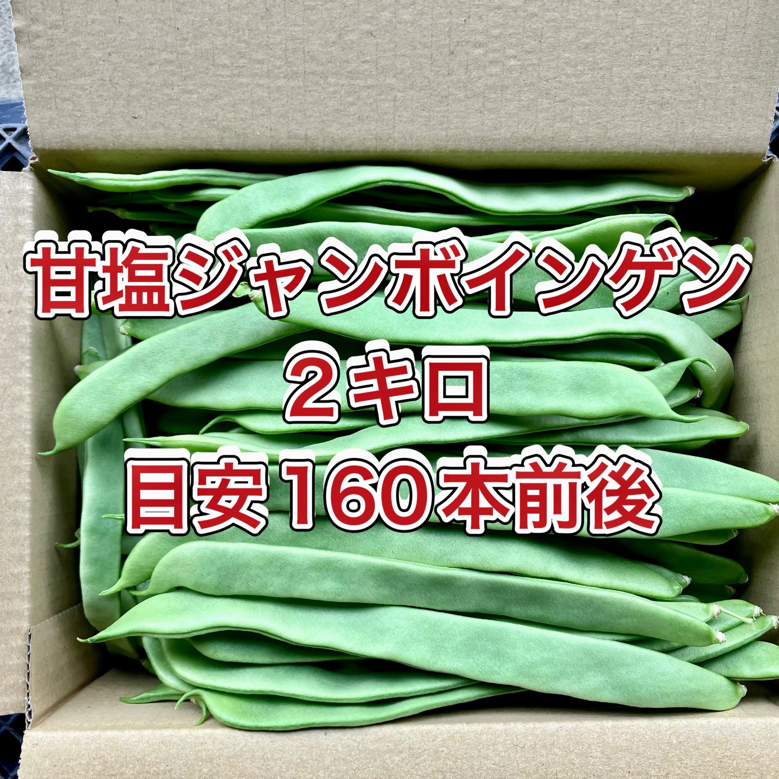✏おいしい野菜研究室✏　ジャンボいんげんAB品込み10㌔低農薬 食品 ✏おいしい野菜研究室✏様専用 ジャンボいんげんAB品込み10㌔