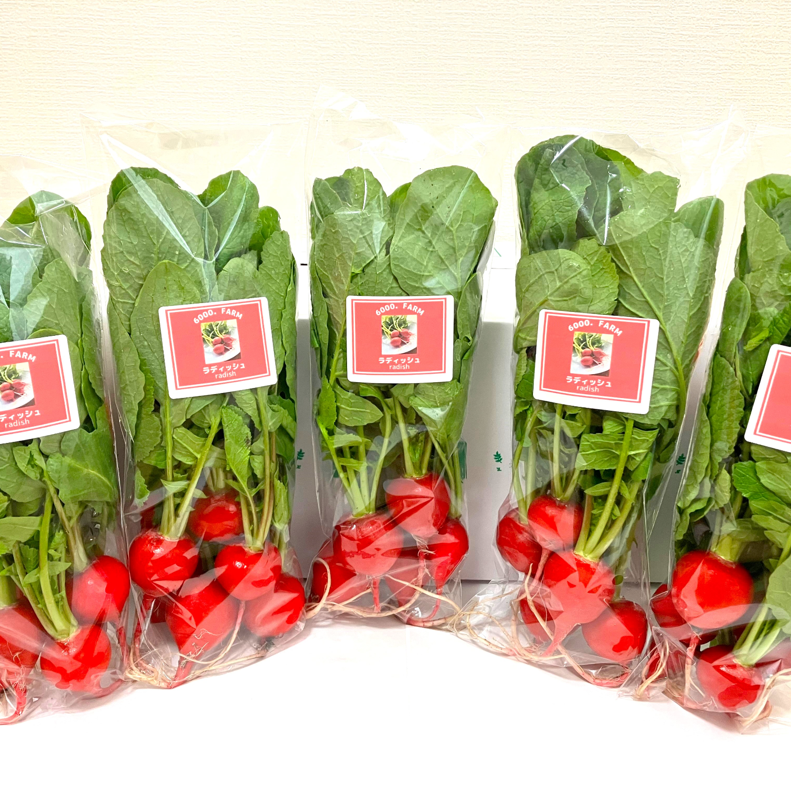 有機JAS認証】 ラディッシュ 150g×5パック（750g） ｜ 野菜/大根 産直
