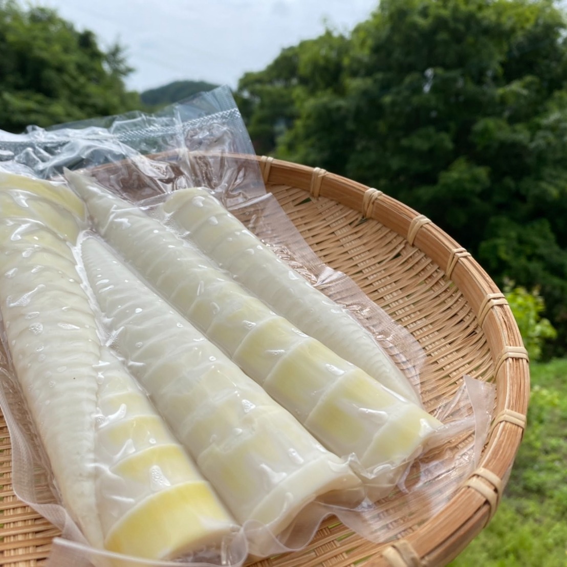 miadee様　京都山城産　朝掘り筍小さめ3kgクール便