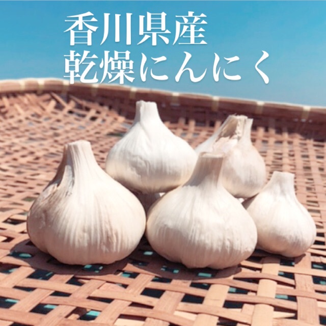 噂の香川県産✨乾燥にんにく✨箱込1kg ｜ 野菜/にんにく 産直アウル