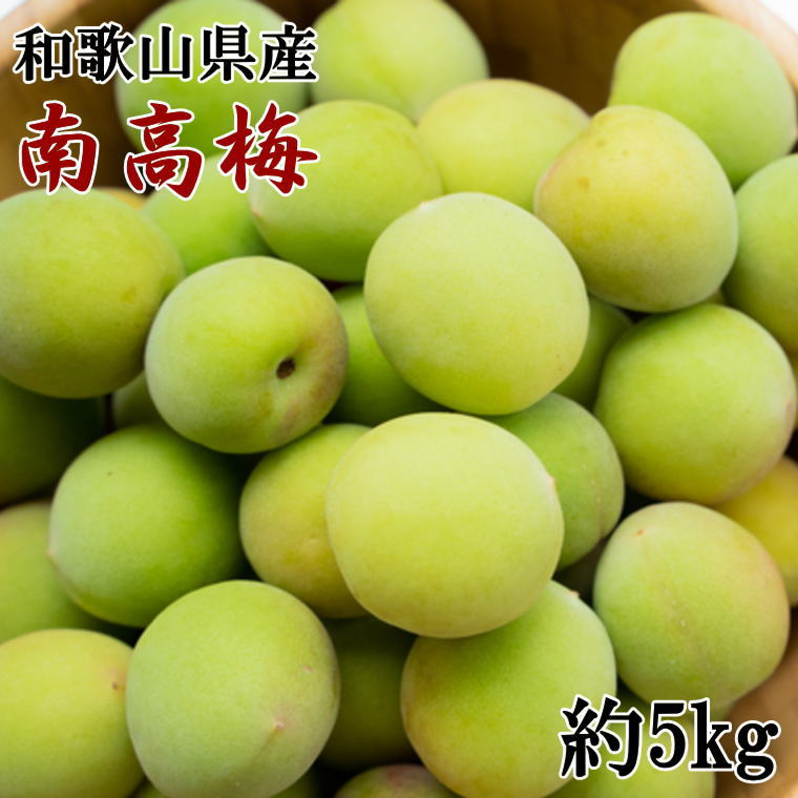 和歌山名産】南高梅約5kg(サイズ混合) 果物/青梅 産直アウル 農家から直接野菜などの食材を購入できる産地直送の宅配通販サイト 和歌山県産 完熟 紀州南高梅 5kg