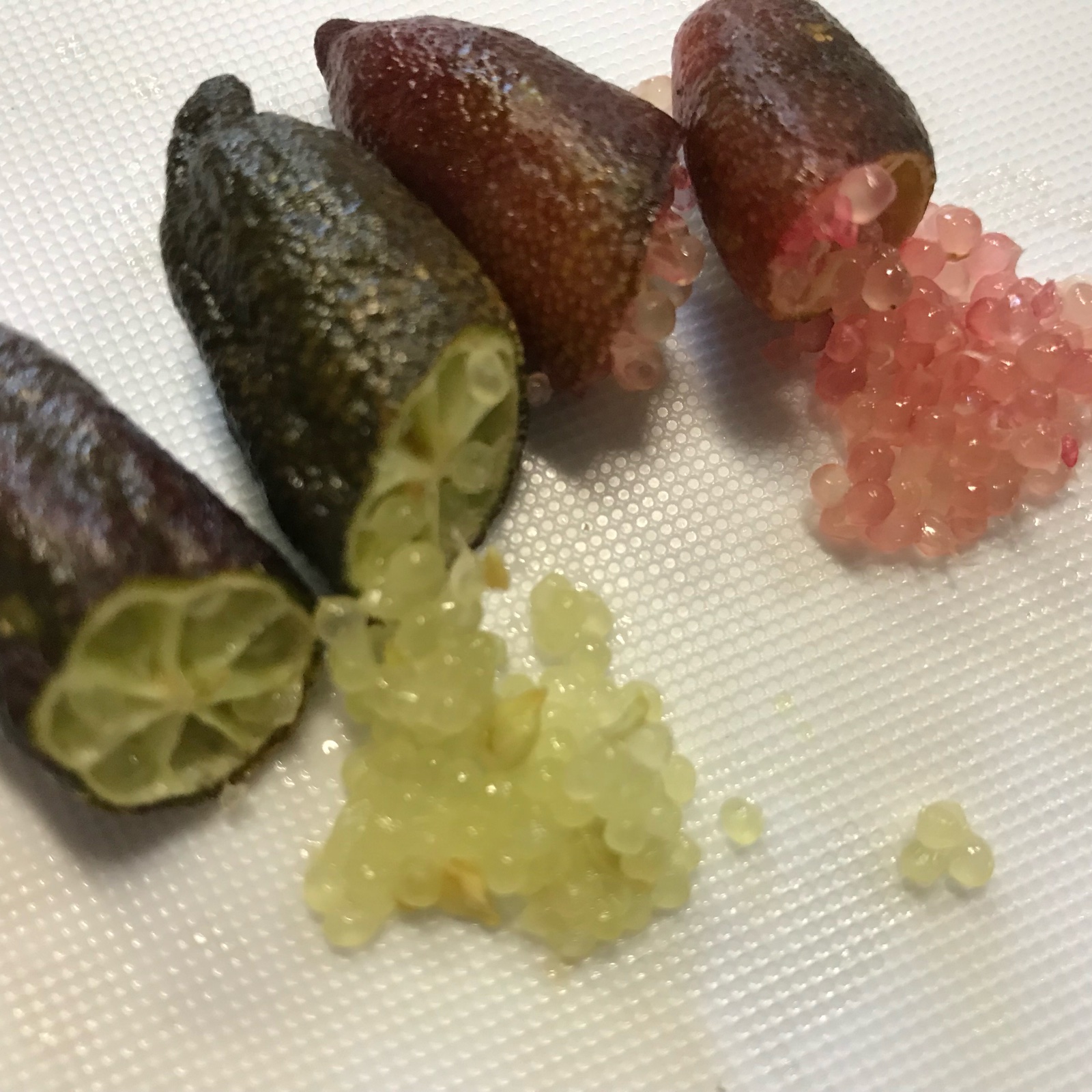 白木果樹園産 フィンガーライムおまかせセット 約100g | 果物/香酸柑橘