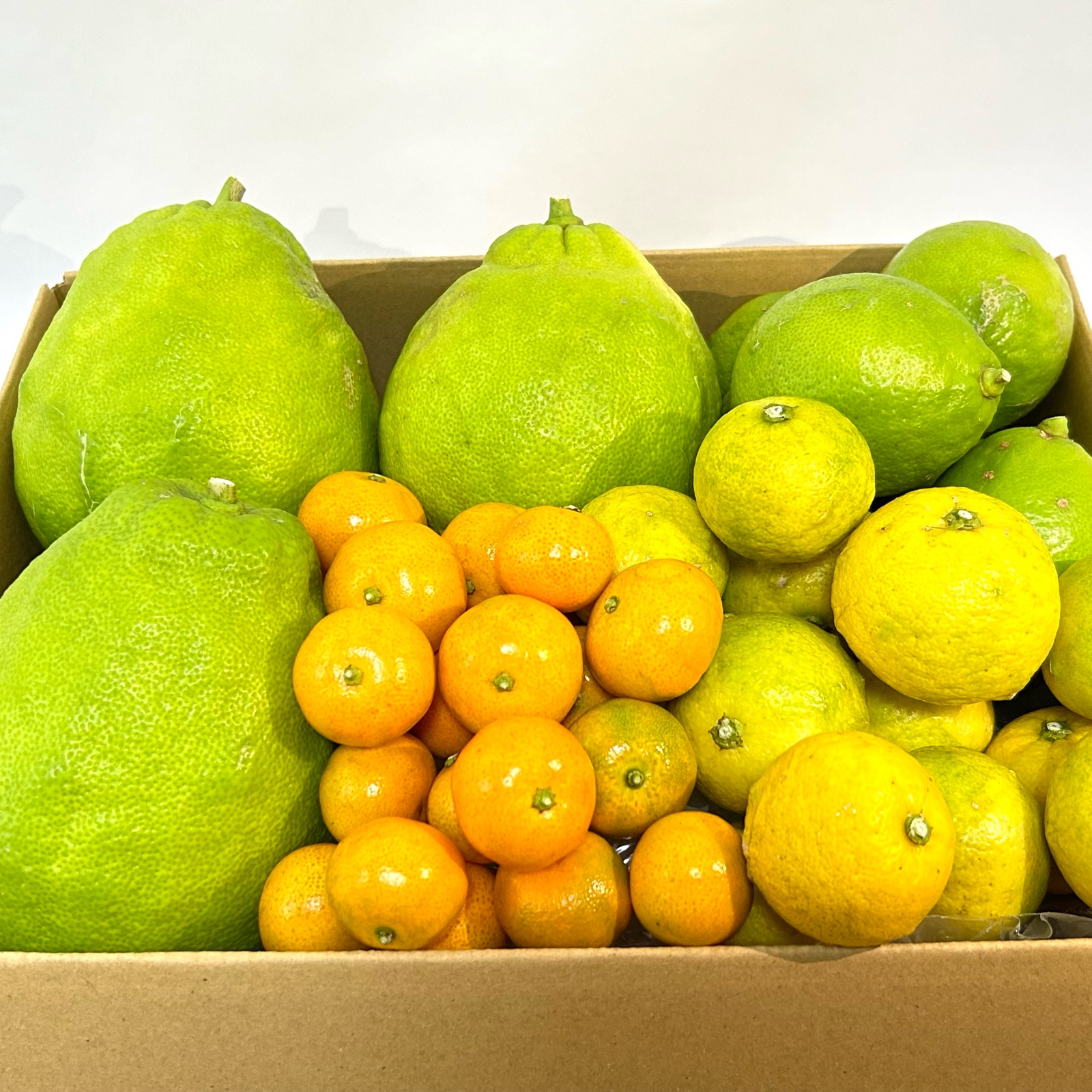 ビタミンたっぷりいろいろな柑橘！瀬戸内産食べ比べセット🍋 ｜ 果物