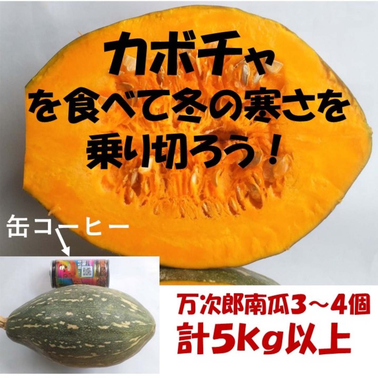 万次郎かぼちゃ　20kg　12〜15個　8 冬至 南瓜 万次郎カボチャ5kg以上3～4玉 かぼちゃ 糖度15％前後