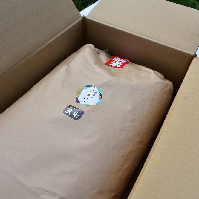 新米 瀬戸内讃岐 令和6年産コシヒカリ100%玄米10キロ 紙袋入り | 米