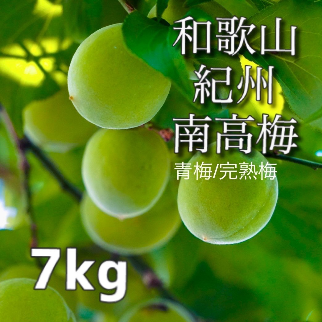 南高梅　Lサイズ　完熟　7キロ　あき太郎様 家庭用】南高梅 大粒 7kg 青梅/完熟梅 ｜ 果物/青梅 産直アウル 農家