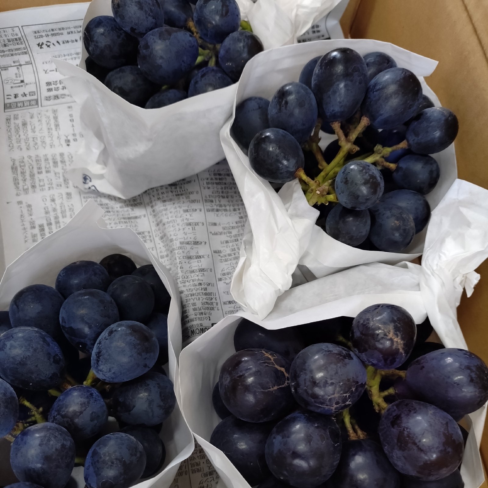 長野県産ナガノパープル約1.2kg ｜ 果物/ぶどう 産直アウル 農家・漁師