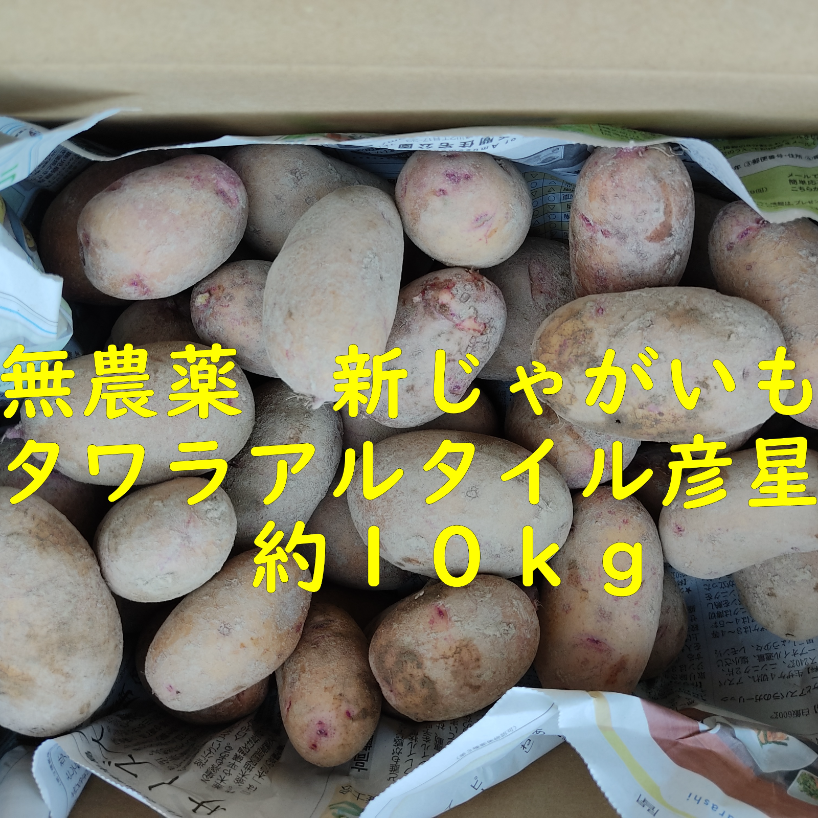 無農薬 新じゃがいも タワラアルタイル彦星 約10kg ｜ 野菜