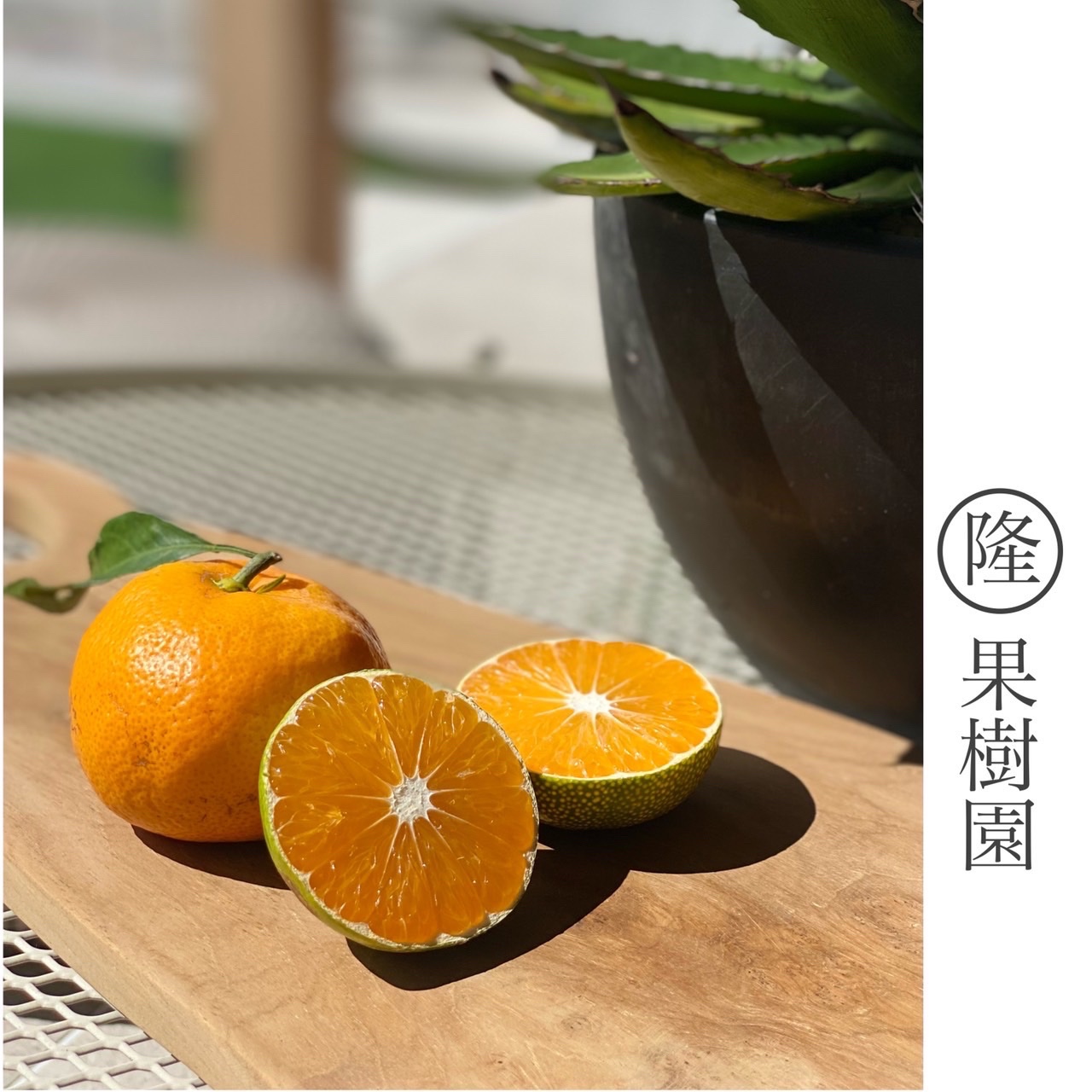 ■和歌山産 早生みかん 小玉サイズ＆混合サイズ2箱■ 小玉サイズ(3S・2S）・秀／優混合】≪3㎏≫和歌山有田産！早生