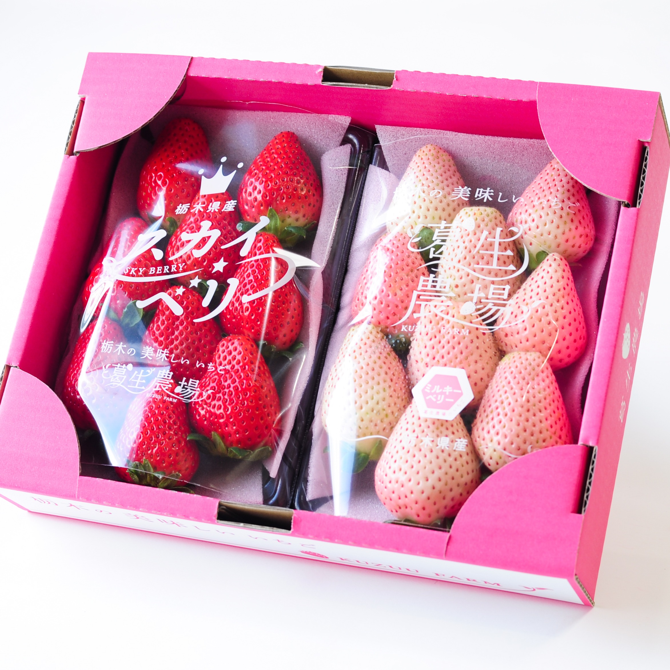 平2種食べ比べ2P（300g×2パック）2品種組み合わせ！とちぎのいちご