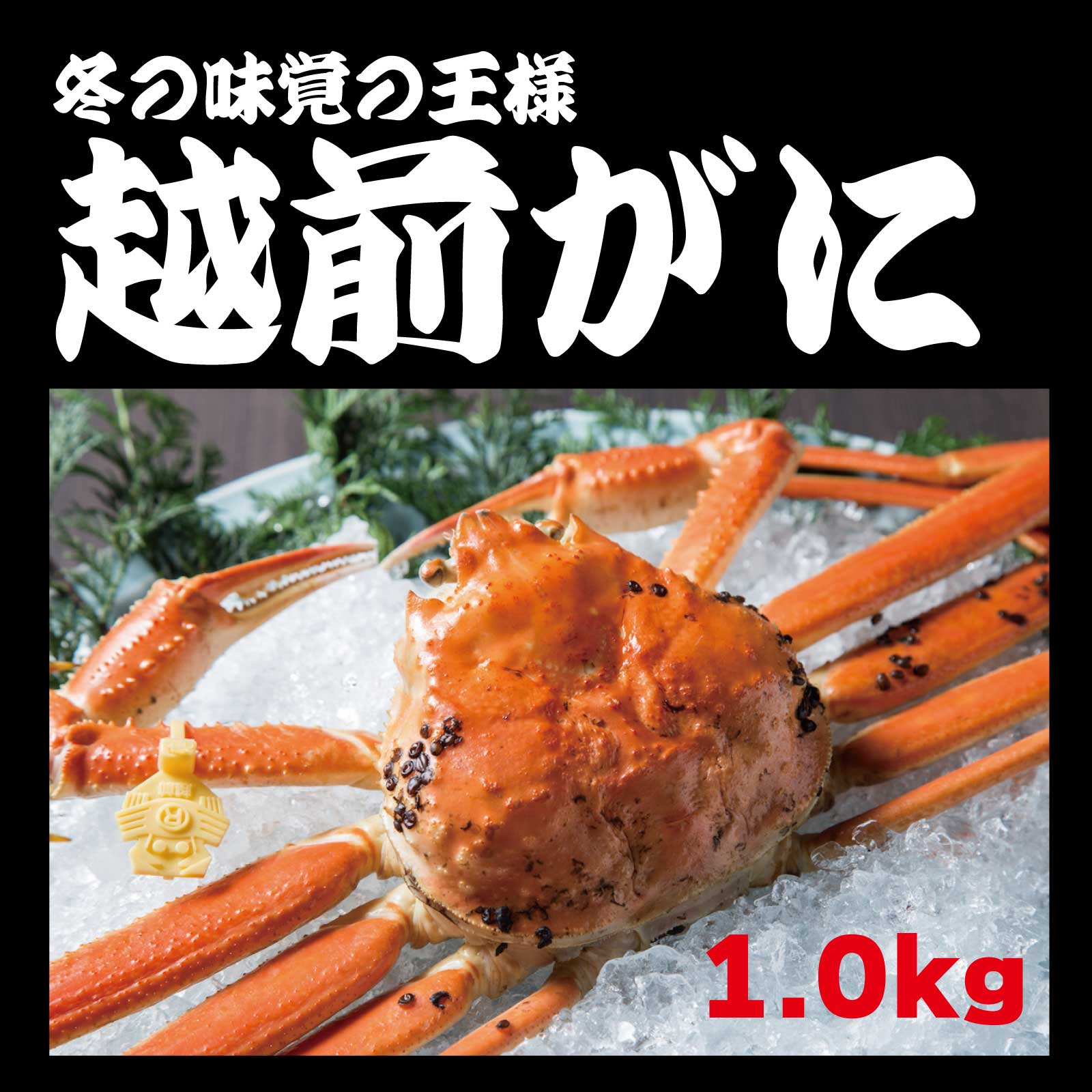 お歳暮 浜ゆで直送 越前がに 1 0ｋｇ 魚介類 カニ 産直アウル 農家から直接野菜などの食材を購入できる産地直送の宅配通販サイト
