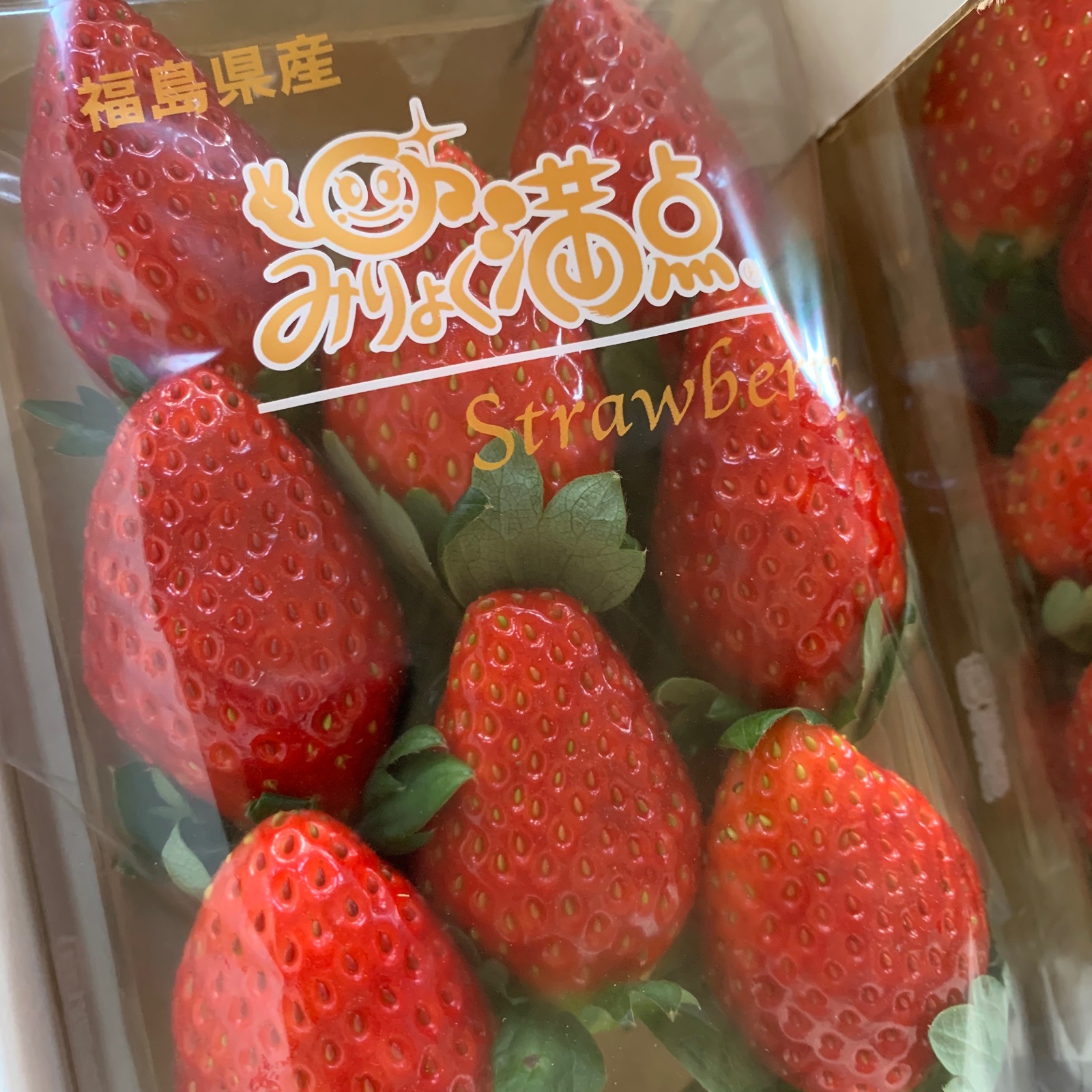 fd8ca18bee1a8f5bc150d9fe181b08