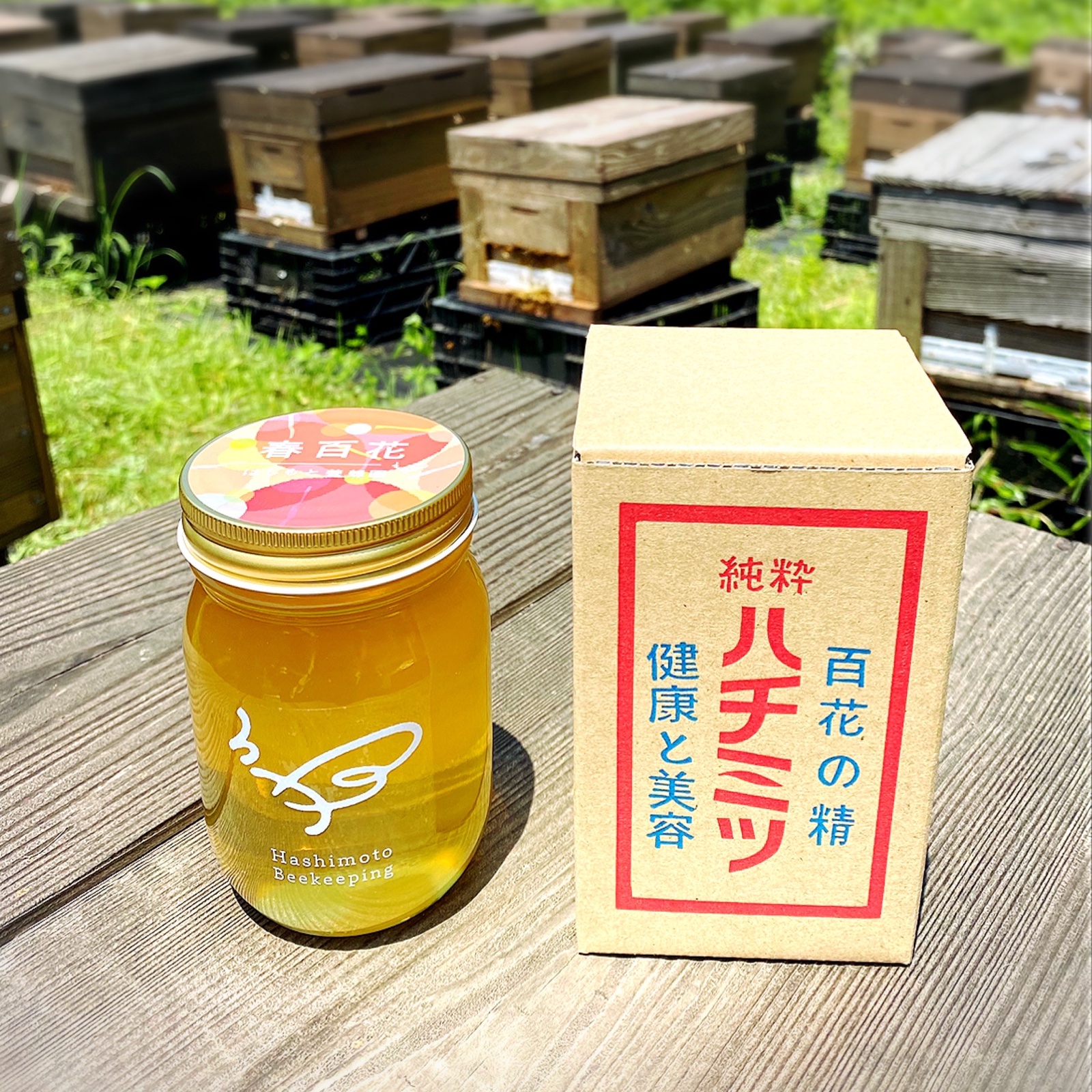 2026年新潟県産はちみつ 春百花500g ｜ はちみつ/はちみつ 産直アウル