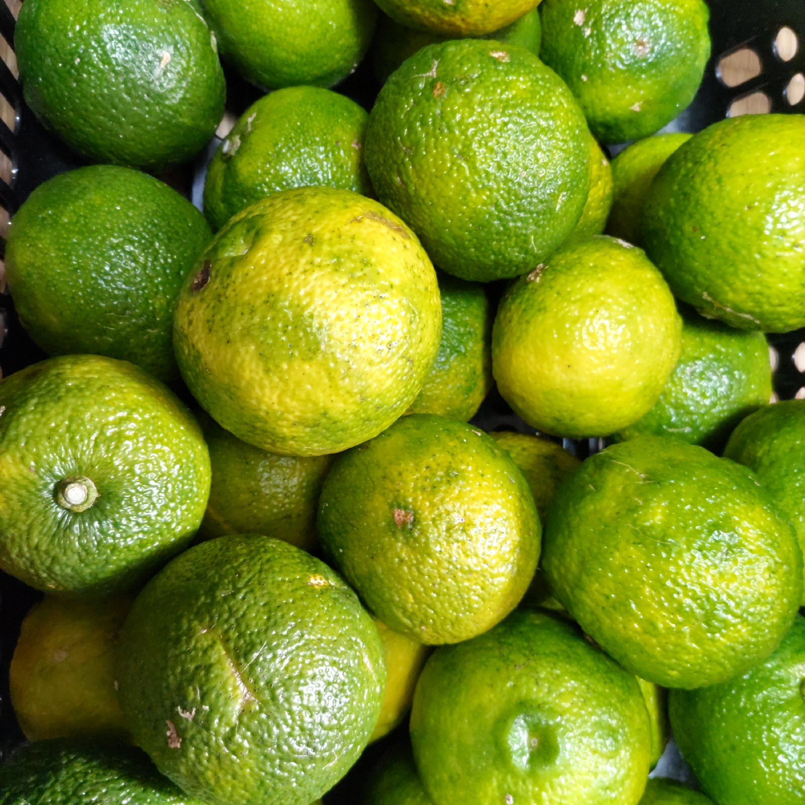 fdad5519aabd96cd6ced2877879fc6