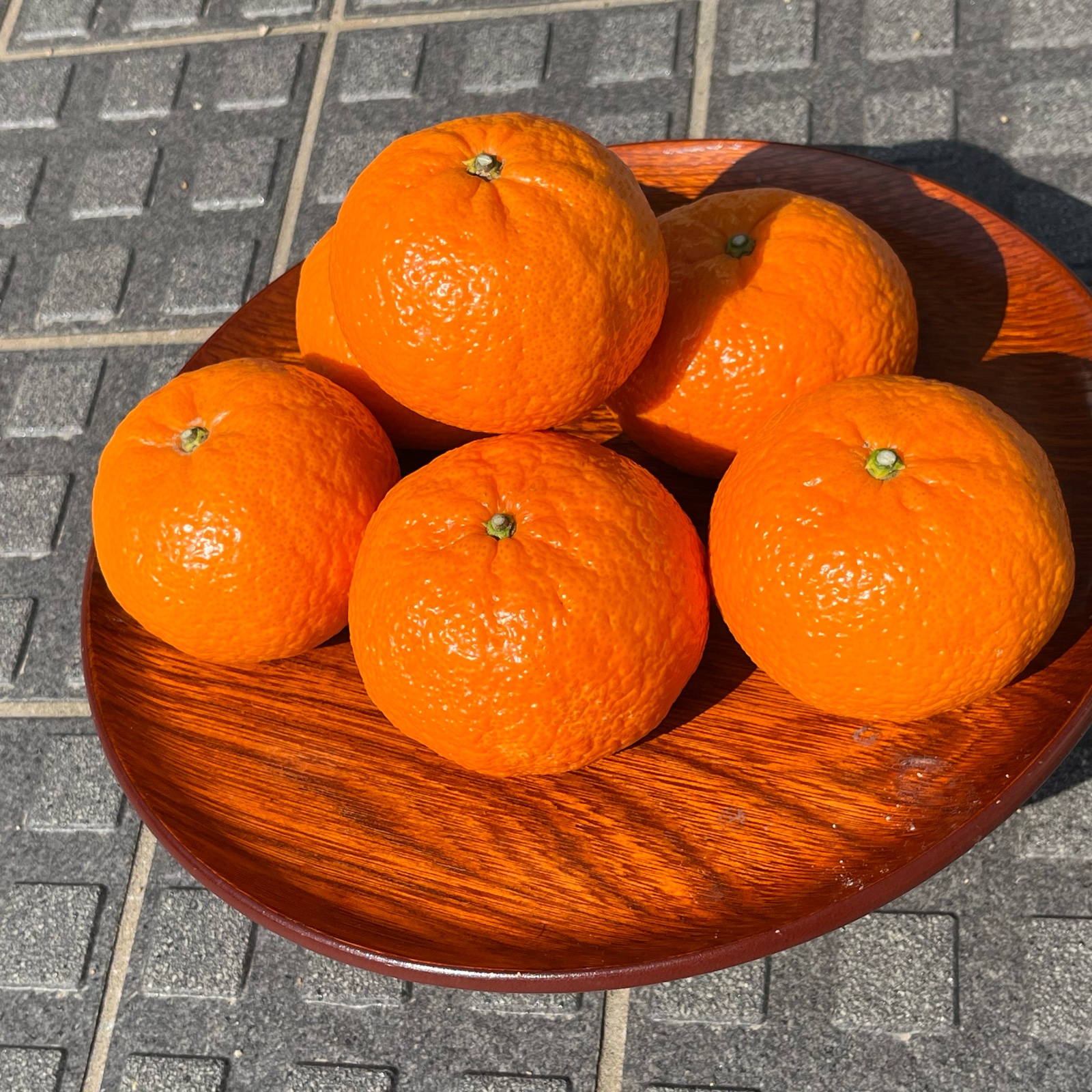 濃厚な甘さの津之輝 5キロ入 | 果物/オレンジ・その他みかん 産直