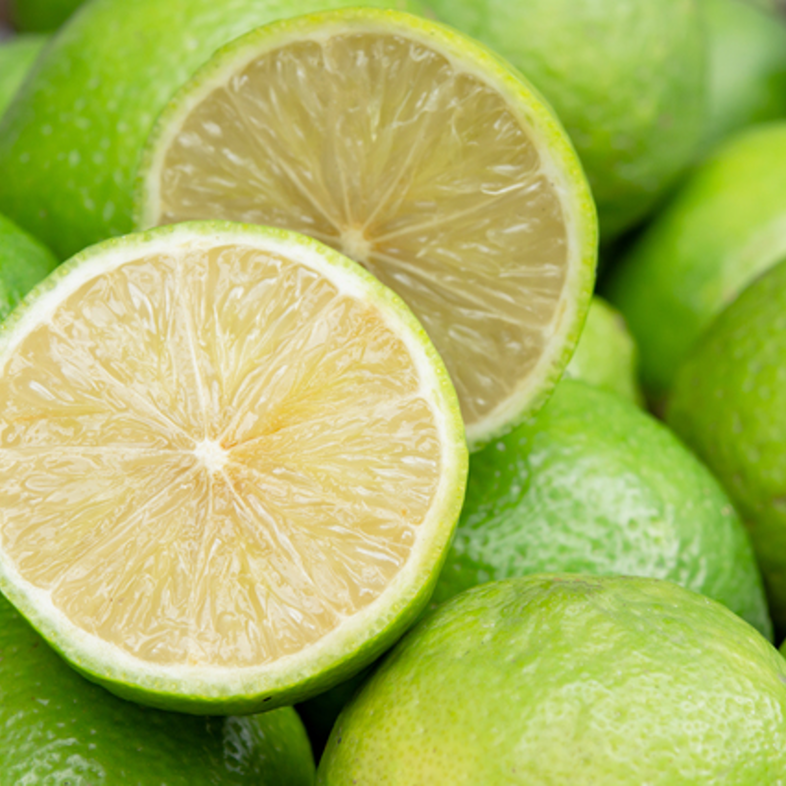 無農薬・ベルガモット1.8kg | 果物/オレンジ・その他みかん 産直アウル