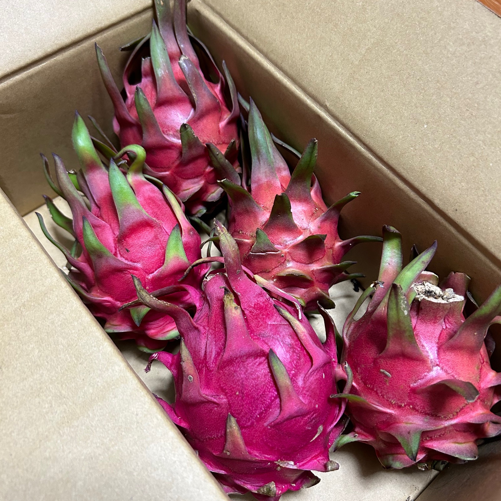 fdf7769e6c84a0ded452a37017c69b