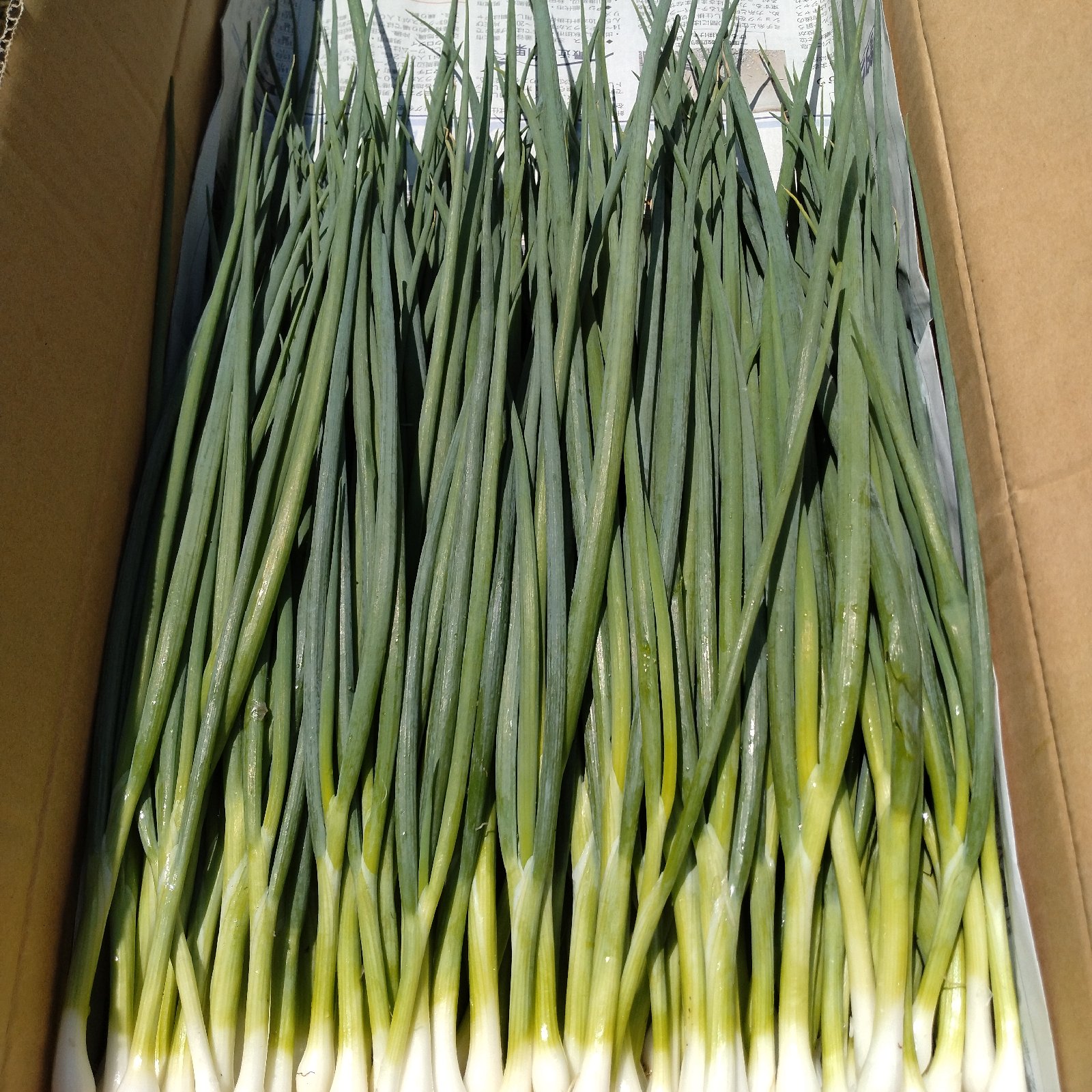 fe01bf849663ce5c316f339d1577e9