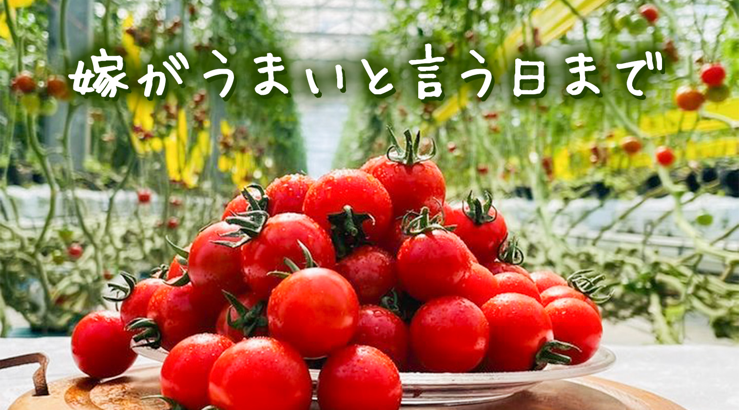 嫁はトマト嫌い!?池田農園さんのトマトを徹底解剖！ ｜ 産直アウル