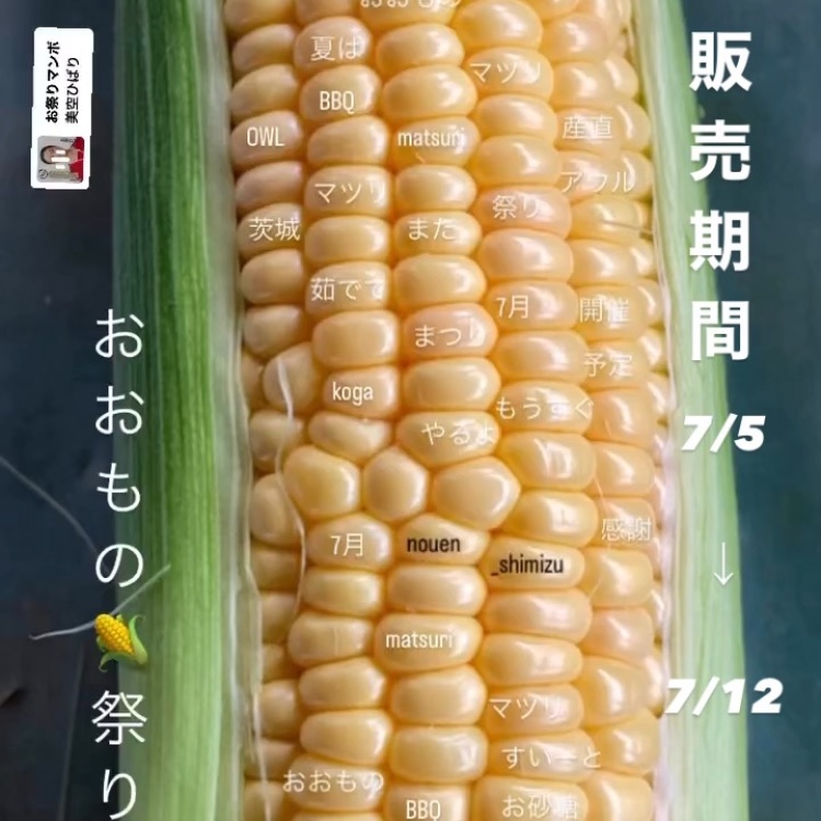 fedaedb9f85c677bd54909197d02ed