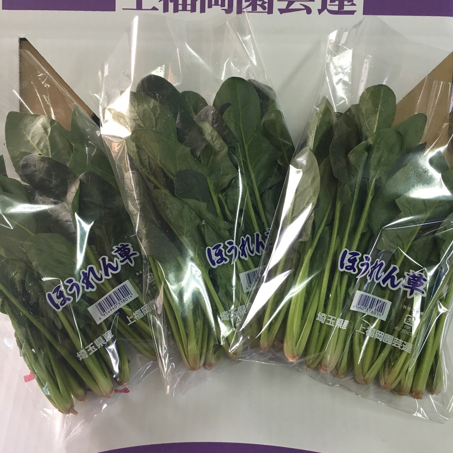 YoShiDaファームの彩の国のほうれん草 | 野菜/ほうれん草 産直アウル