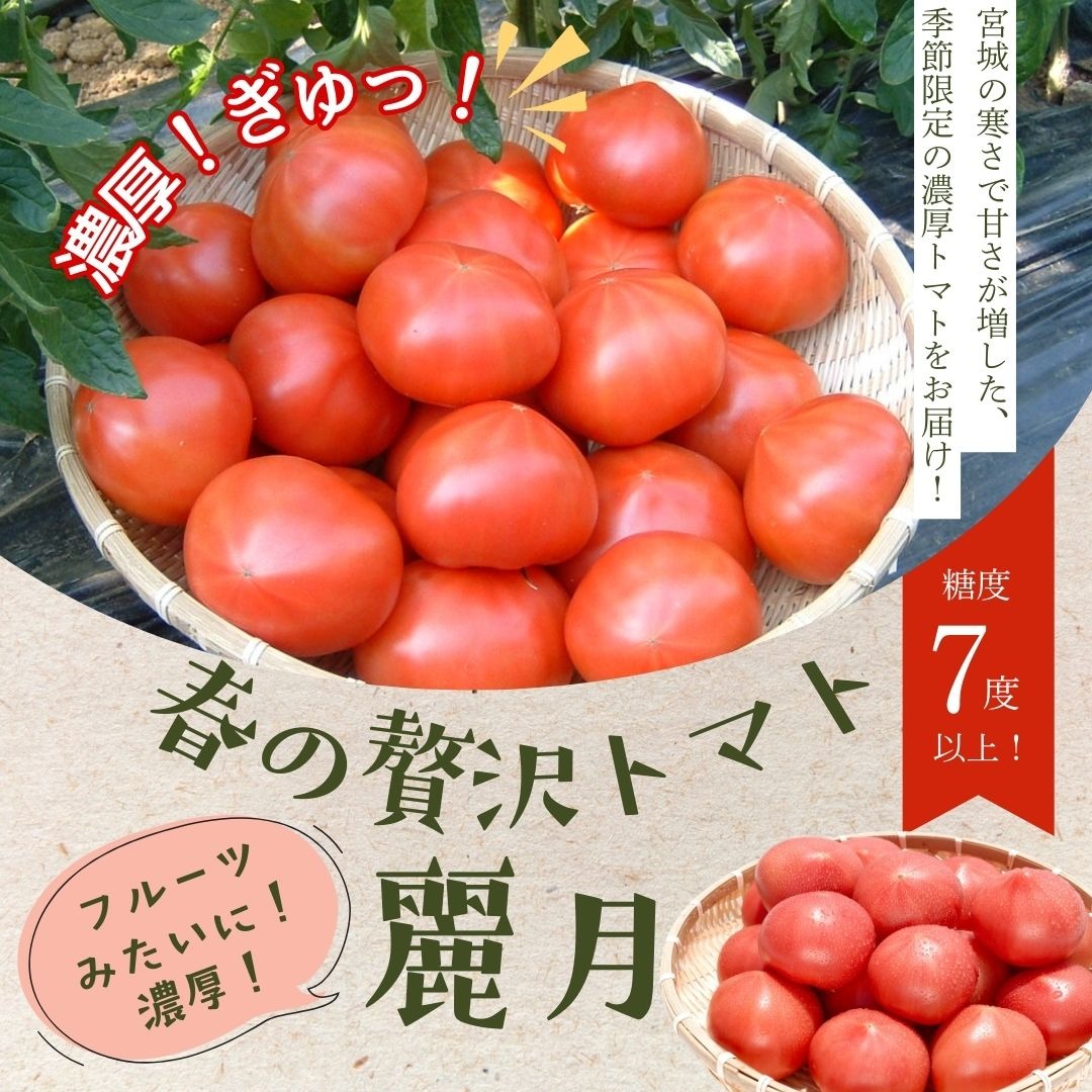 大玉トマト 麗月 正規品AB品 4キロ 大玉トマト4kg 麗月（レイゲツ