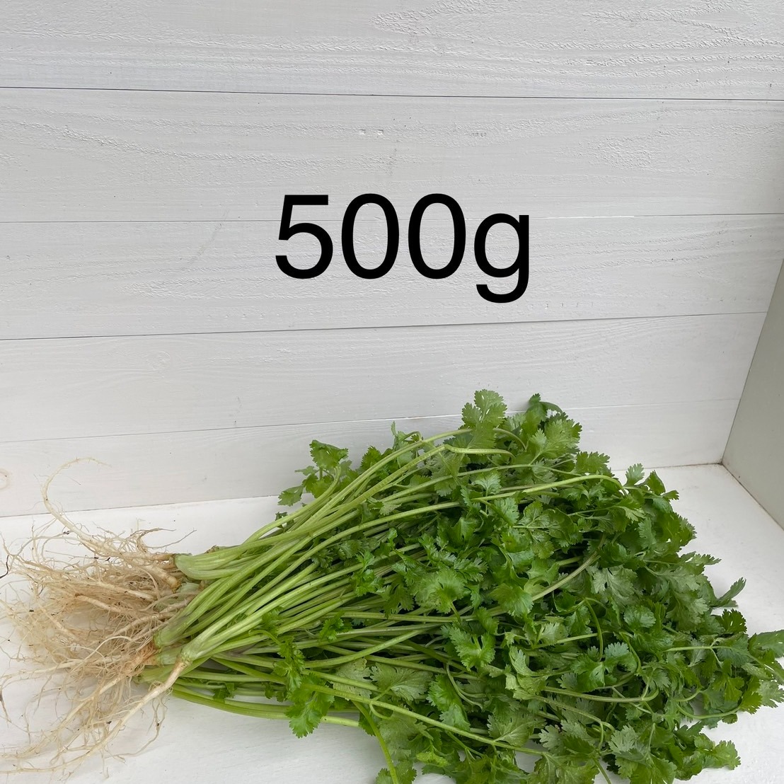 農薬不使用　空芯菜　4キロ　パクチー2kg 農薬不使用　空芯菜　4キロ　パクチー2kg
