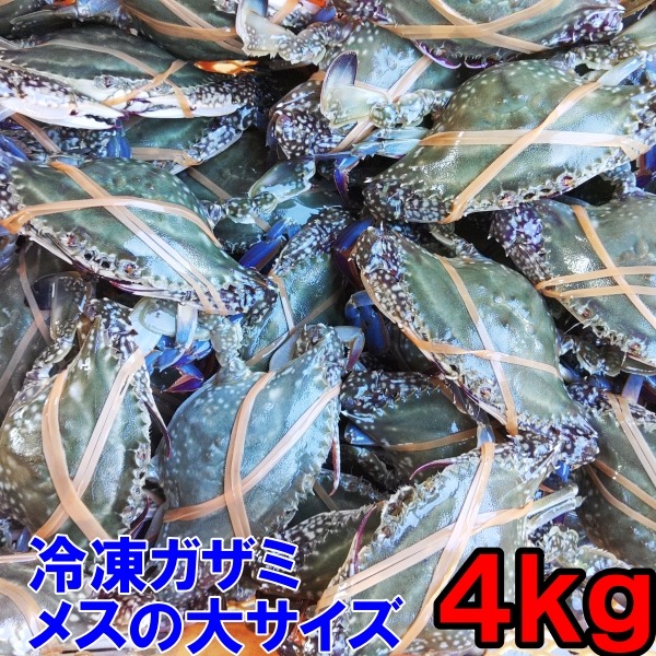 ワタリガニ メス大サイズ冷凍発送4kg【豊漁10％OFF中】（約8-12杯