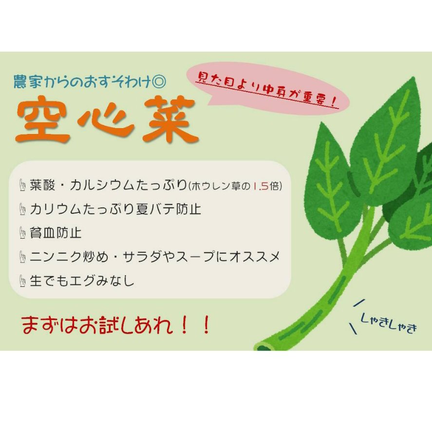 心笙からのおすそわけ』空心菜(空芯菜)1kg ｜ 野菜/葉物 産直アウル