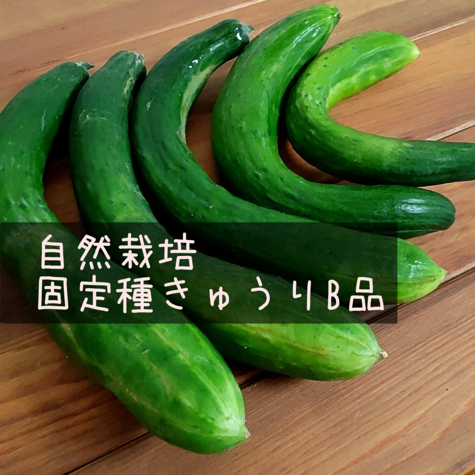 食品 ☆キュウリ3kg、タマネギ5kg、トウモロコシ4kg☆
