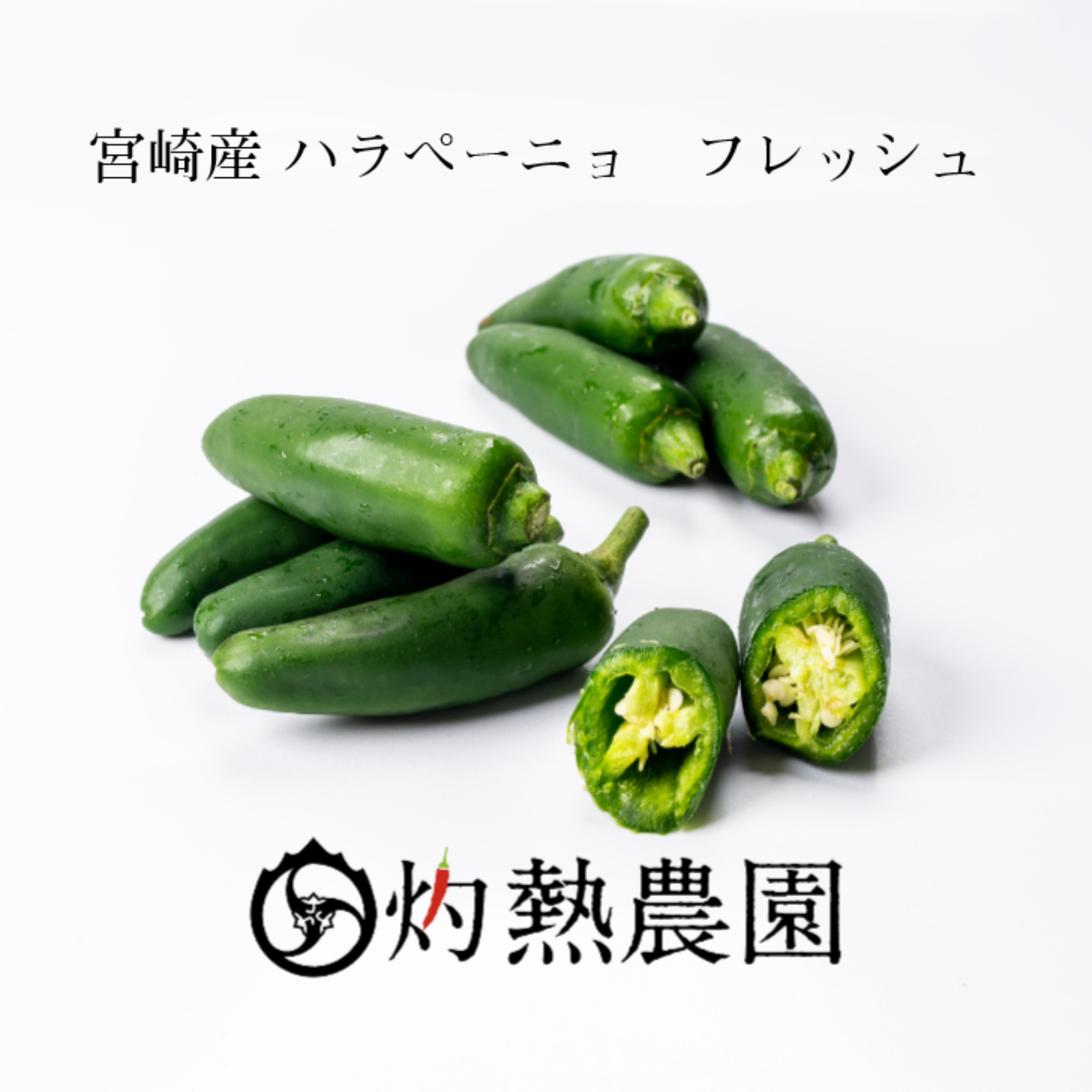 今出品中の苗から出来る実の参考写真です。 最終値下げ
