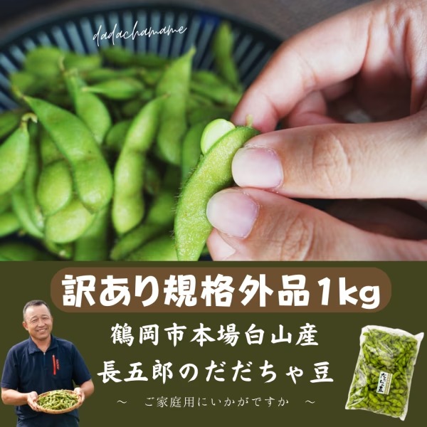 訳あり規格外品 本場白山産だだちゃ豆4kg(1kg×4) ｜ 野菜/枝豆 産直