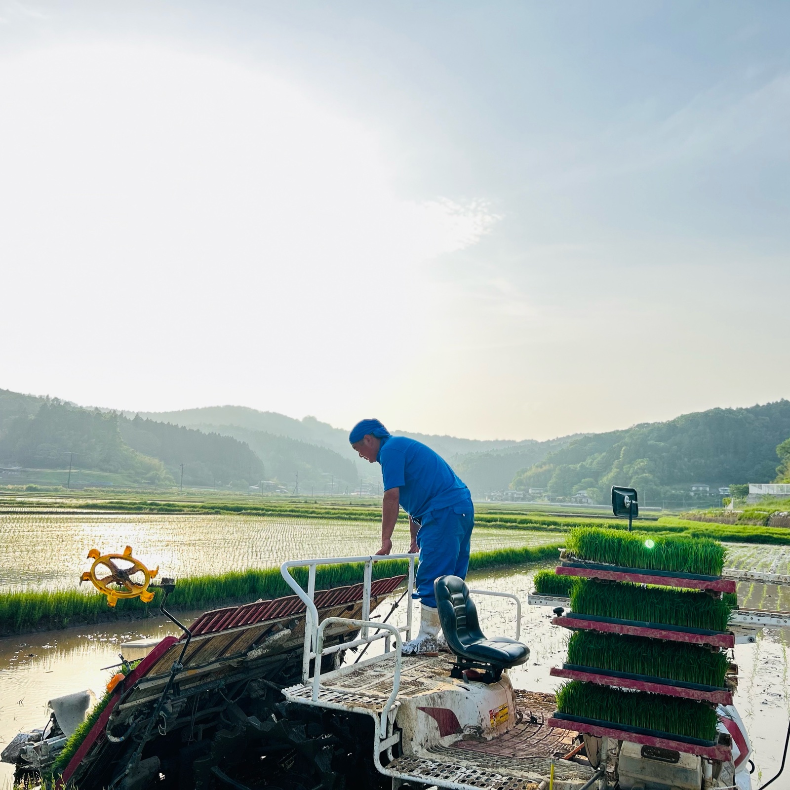 令和7年度産 ひとめぼれ10kg ｜ 米・穀物/米/精米 産直アウル 農家