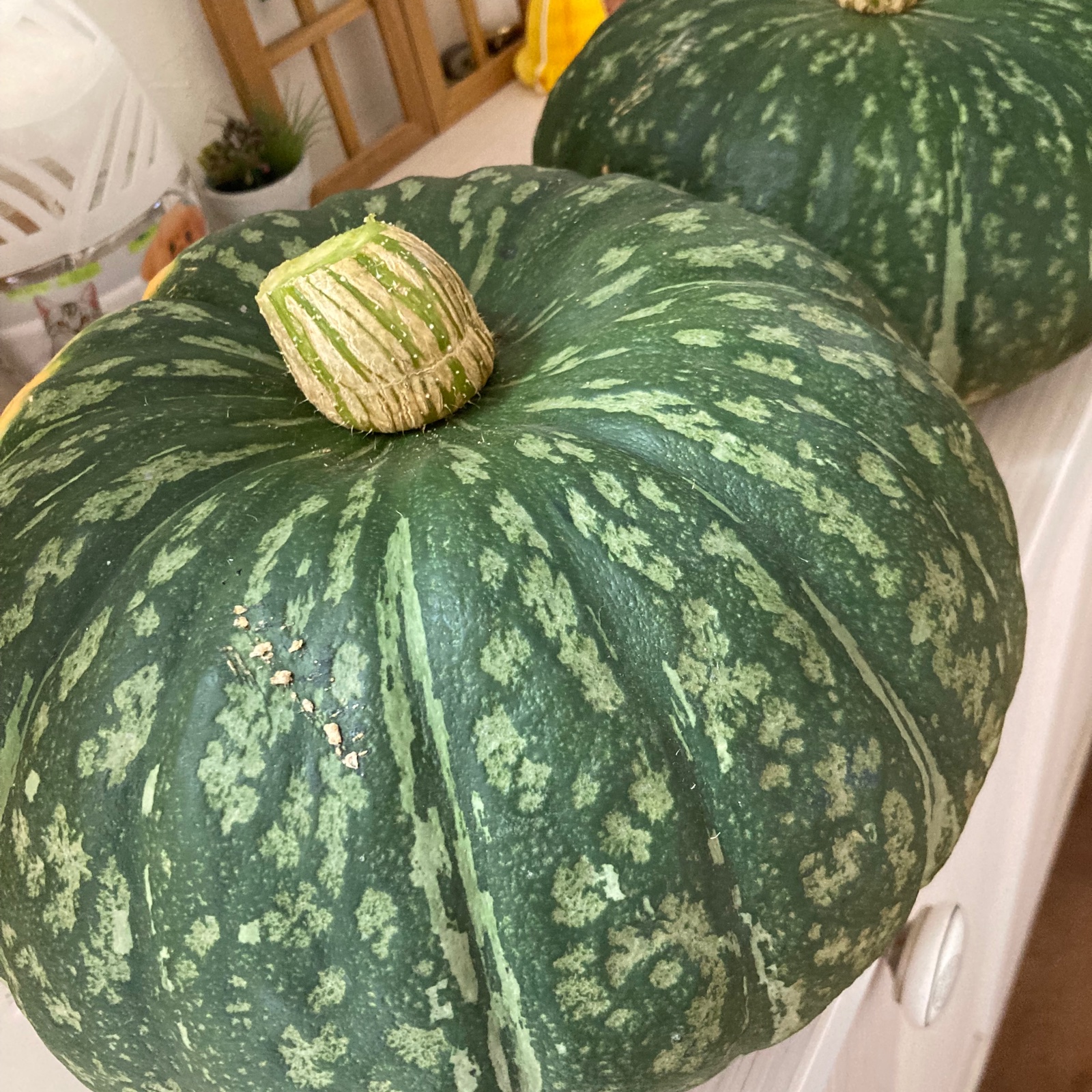 かぼちゃ 送料無料 1箱 4玉入 3300 えびすかぼちゃ カボチャの品種はえびす 価格 円 北海道産 南瓜 大玉 野菜 店内限界値引き中 セルフラッピング無料 えびすかぼちゃ