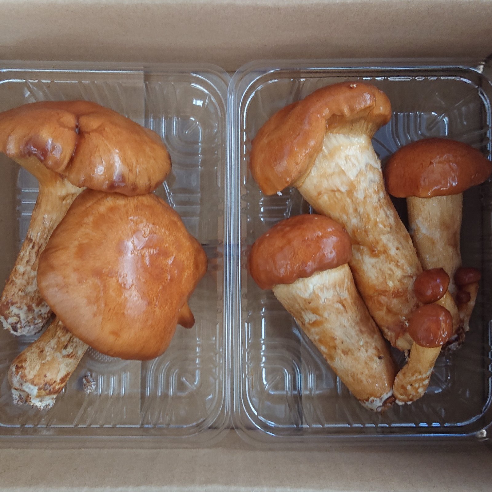 ffdaf2899853d3c7599b61139475a9