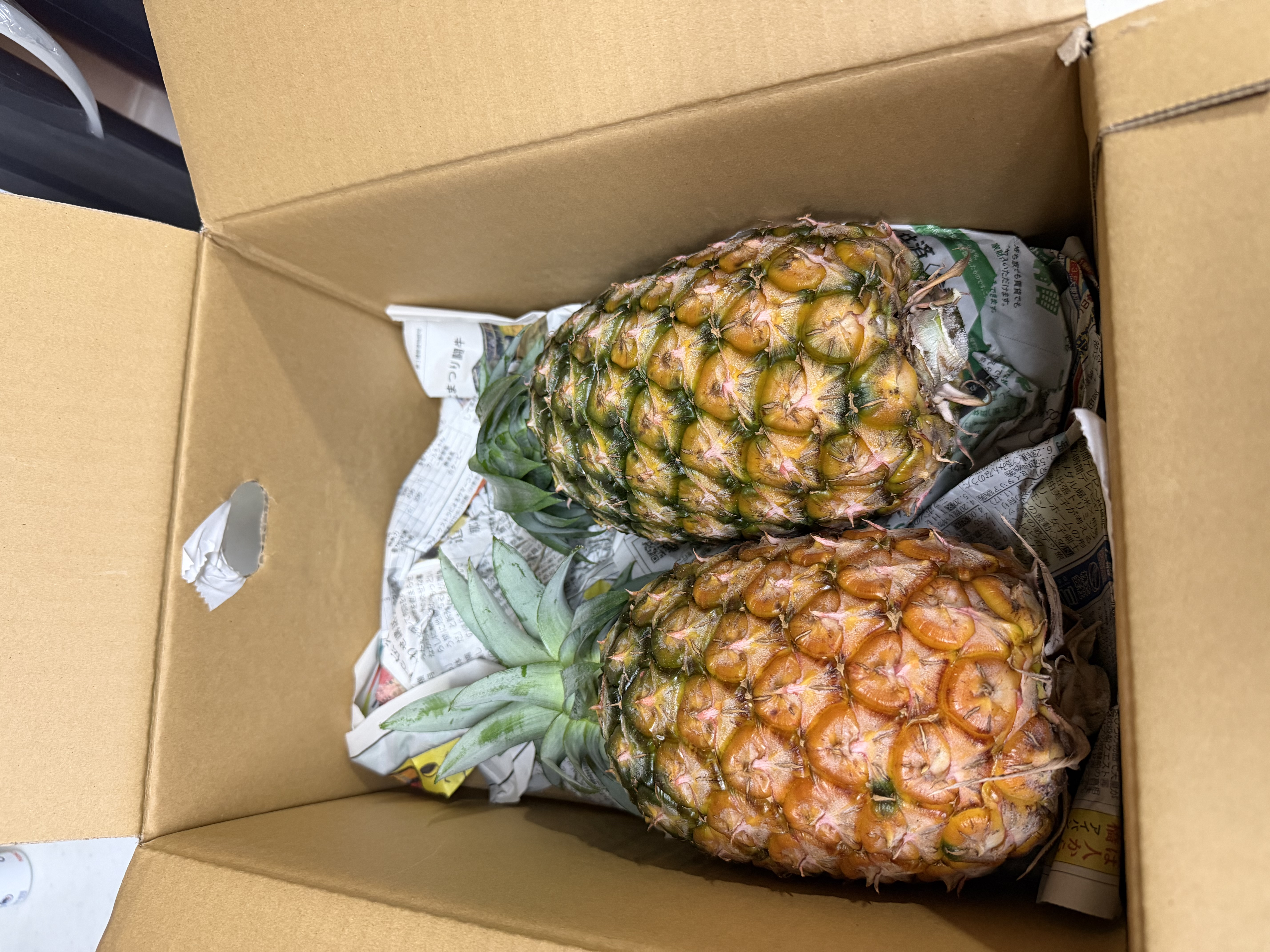 送料無料】ますみ農園 桃の香りのピーチパイン5kg（5〜8玉） ｜ 果物