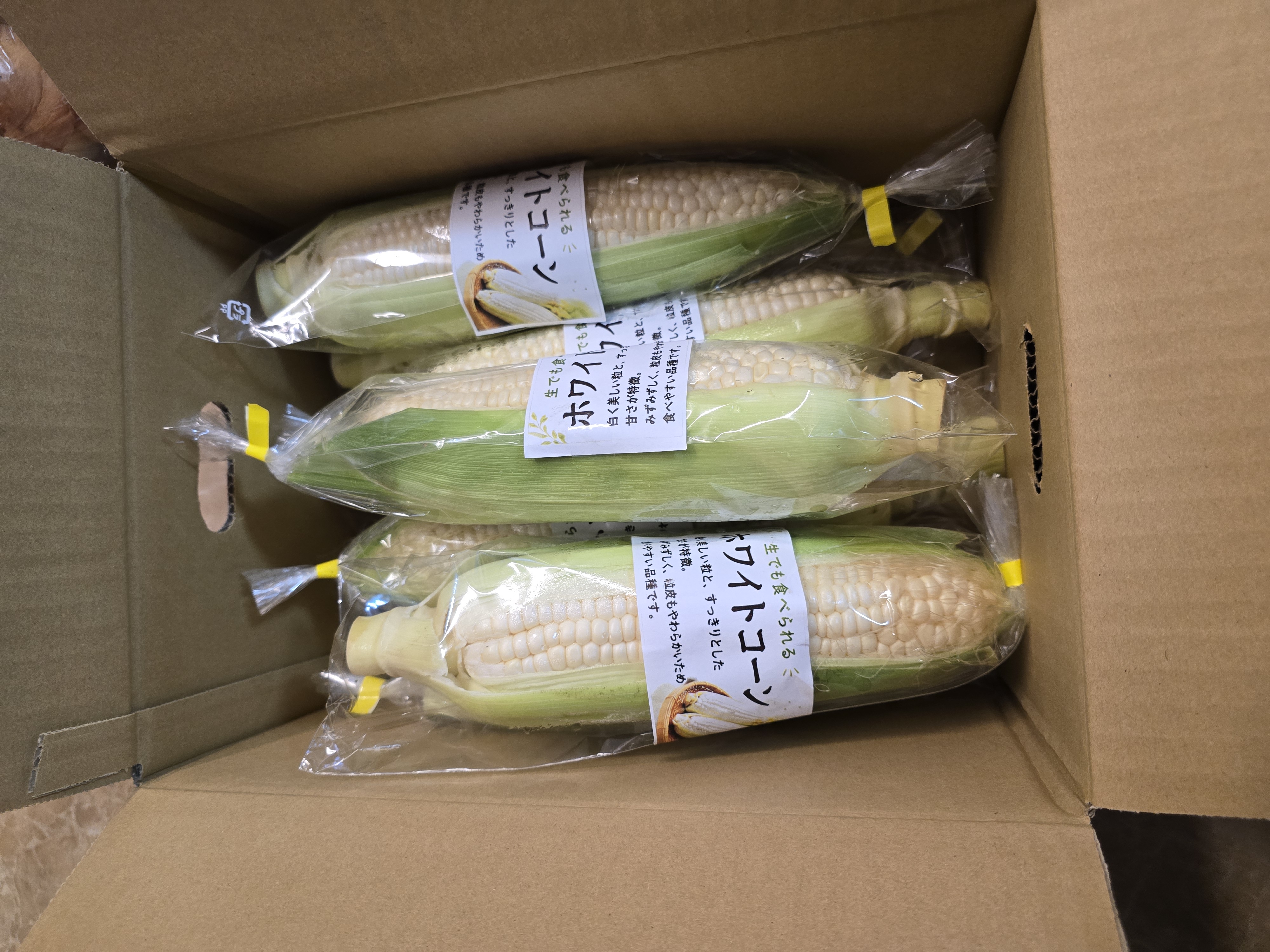 訳ありレッドオニオン4kg 新玉ねぎレッドオニオン サラダ玉ねぎ