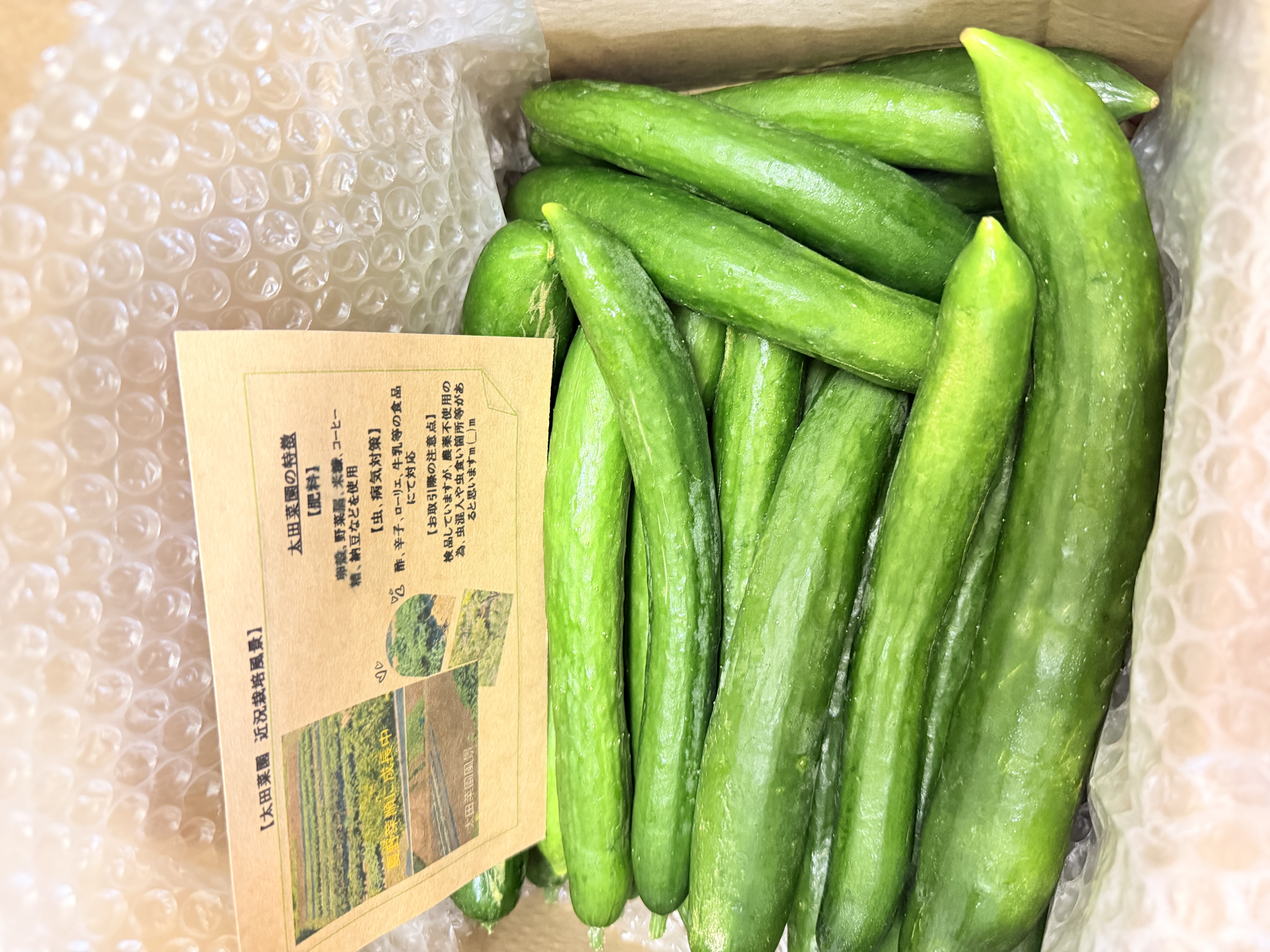 中玉トマト 赤＆オレンジ ｜ 野菜/トマト 産直アウル 農家・漁師など 