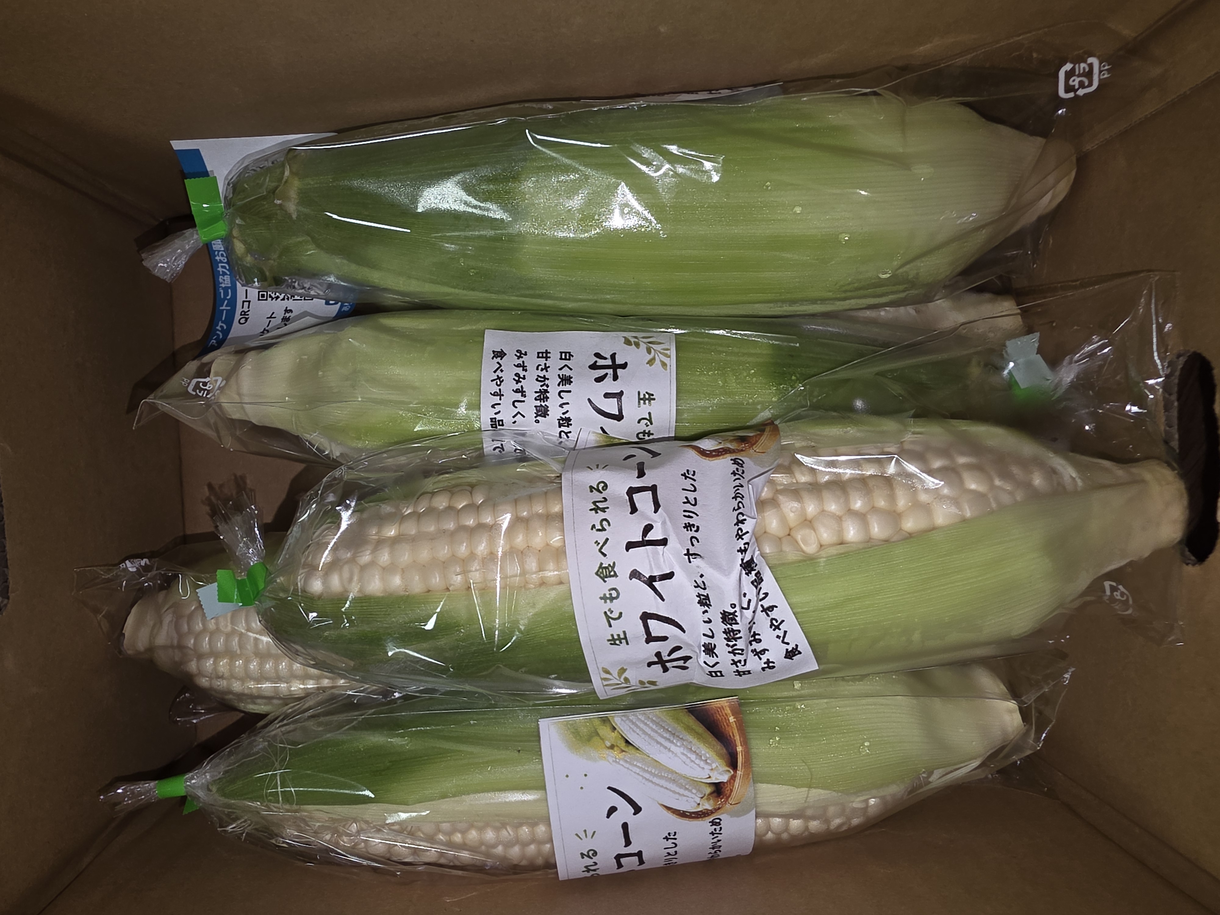 食品 ‼️数量限定‼️お米‼️淡路島産米 キヌムスメ 玄米 30kg（精米後