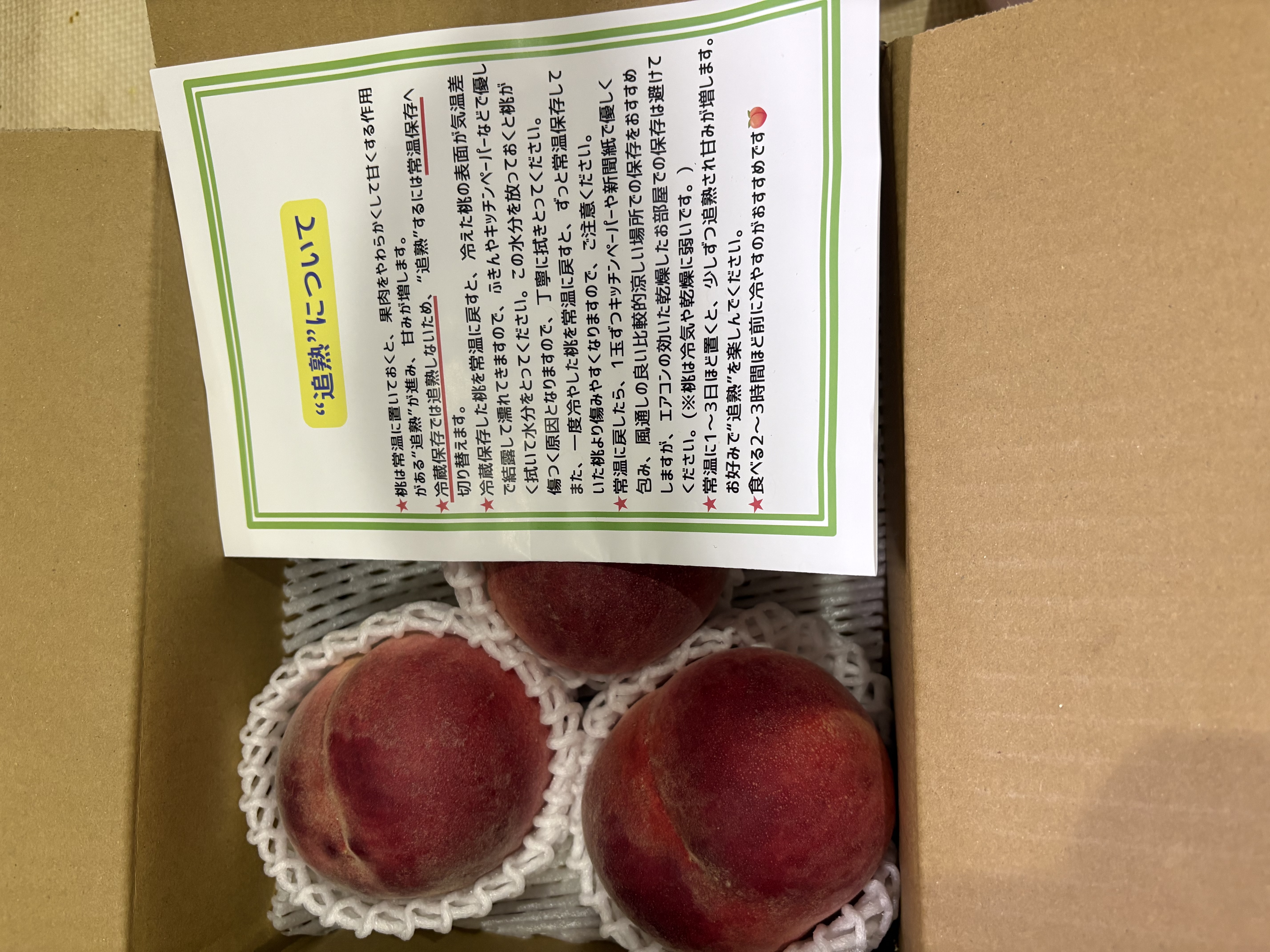 限定20】山梨県産 日川白鳳 家庭用 3キロ箱使用 ｜ 果物/もも 産直