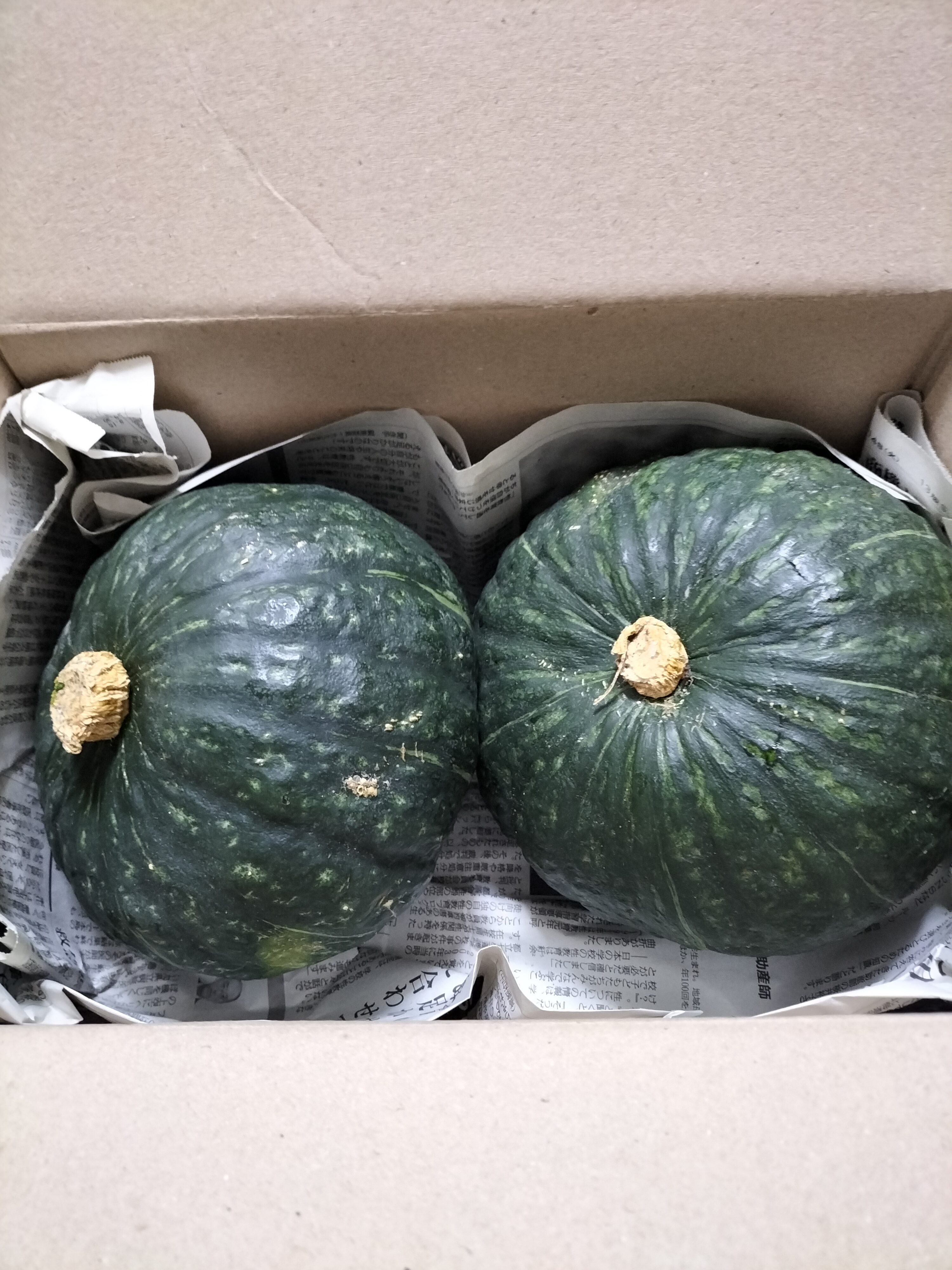 九重くりカボチャ5玉 ｜ 野菜/かぼちゃ 産直アウル 農家・漁師など生産