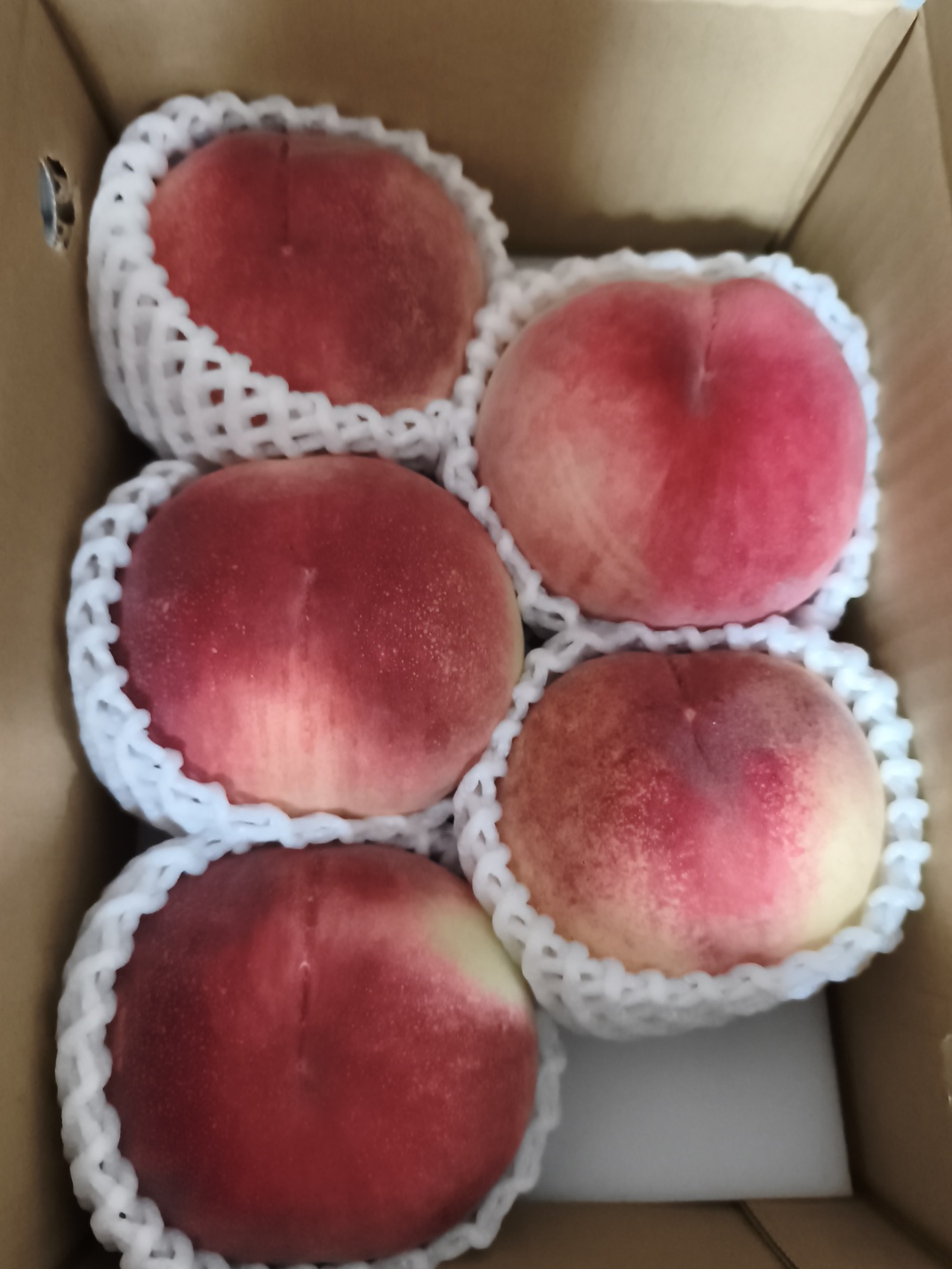 山梨の甘熟桃 2.0キロ 6玉〜8玉 ｜ 果物/もも 産直アウル 農家・漁師