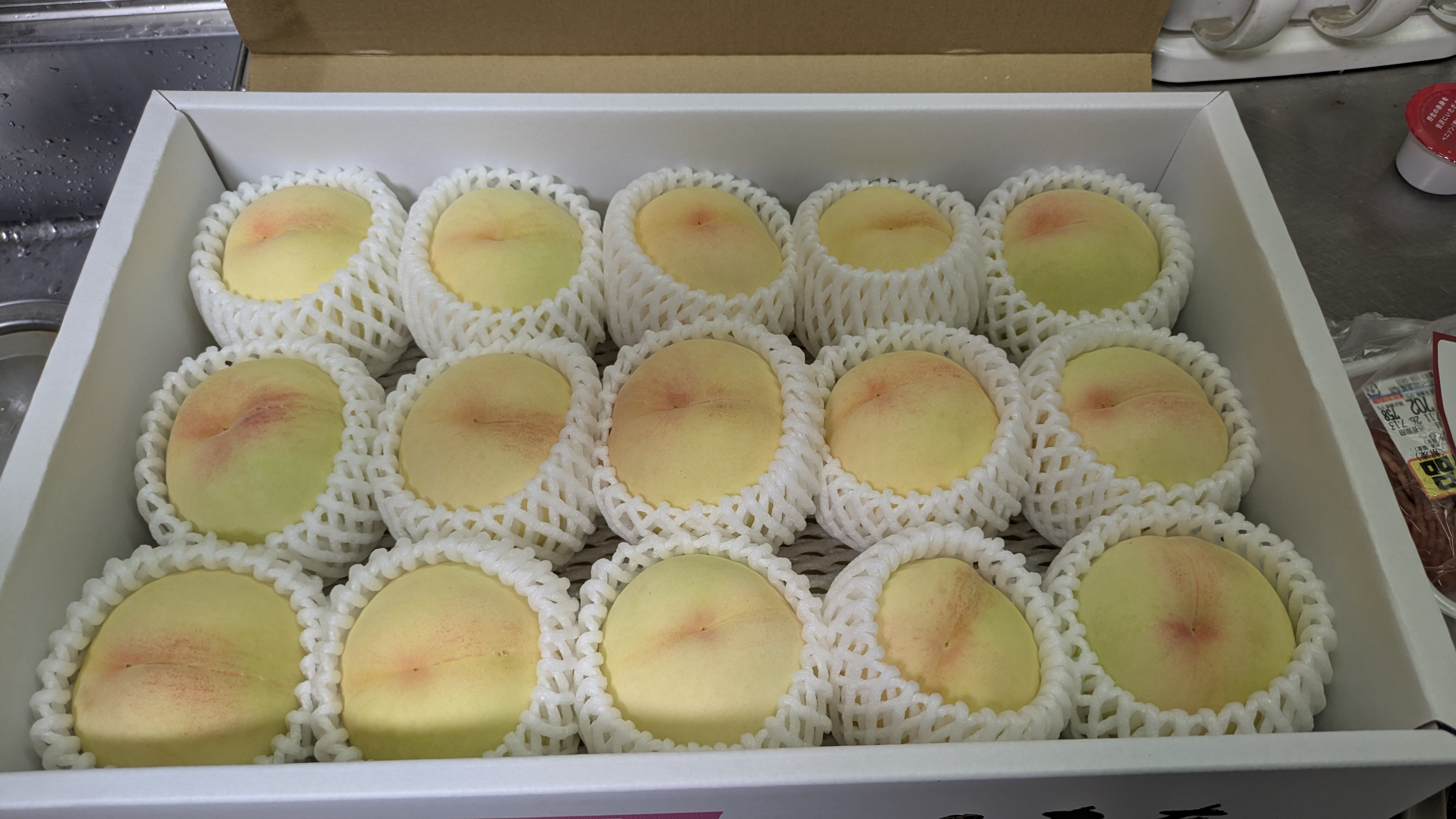 訳あり品】岡山白桃1.4kg 7月上旬から8月上旬 ｜ 果物/もも 産直アウル