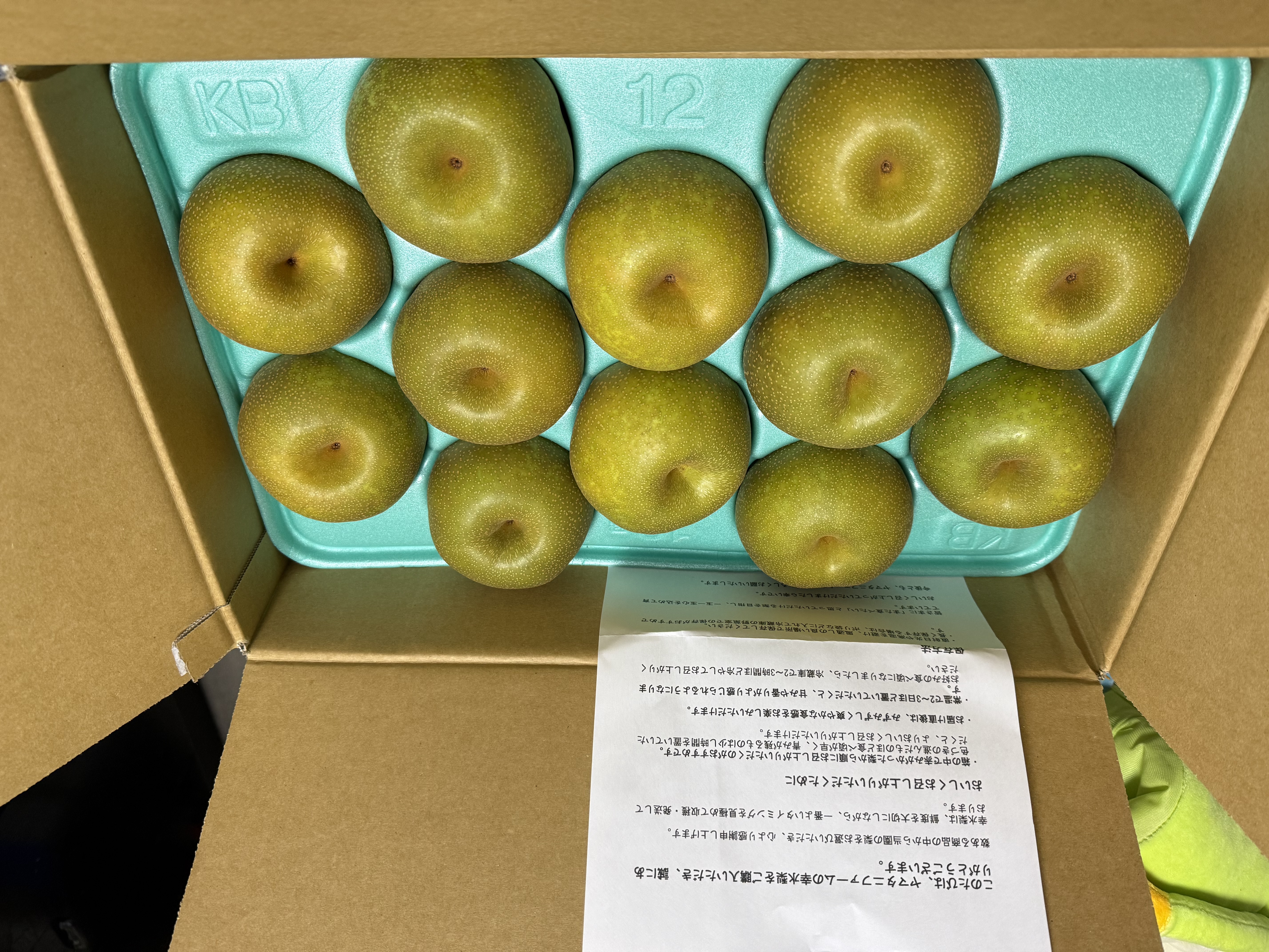 梨 幸水10kg ｜ 果物/梨 産直アウル 農家・漁師など生産者から直接野菜