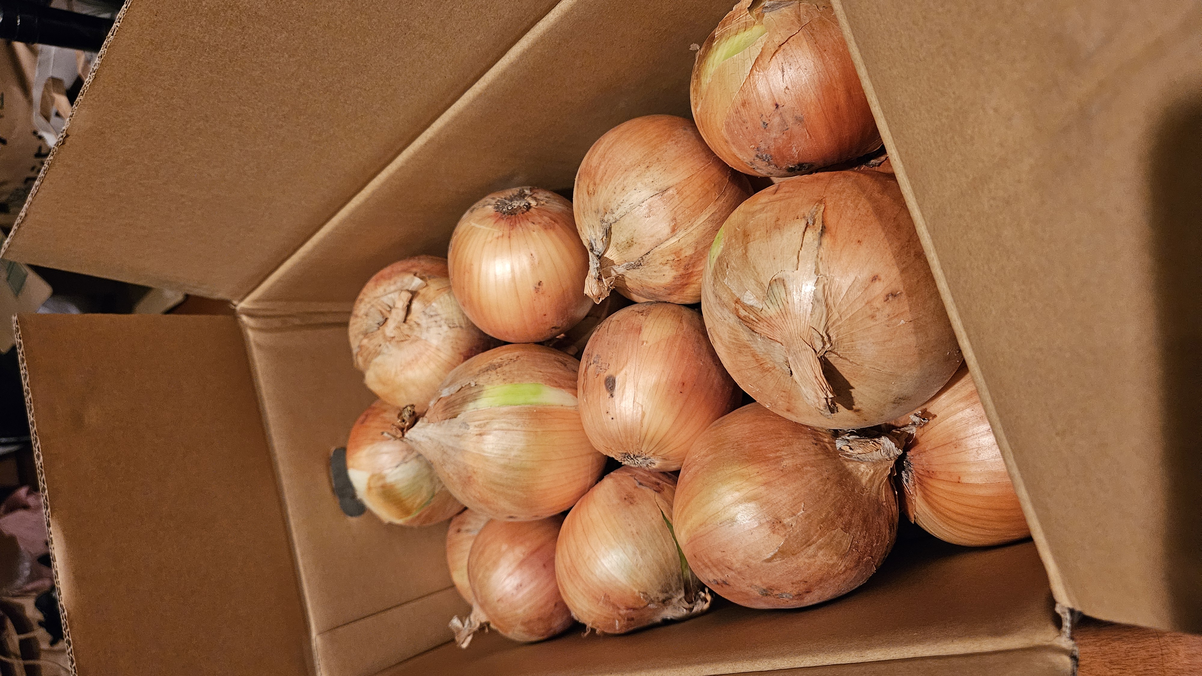 らるふるの新じゃがいも〈ノーザンルビー〉 ｜ 野菜/じゃがいも 産直